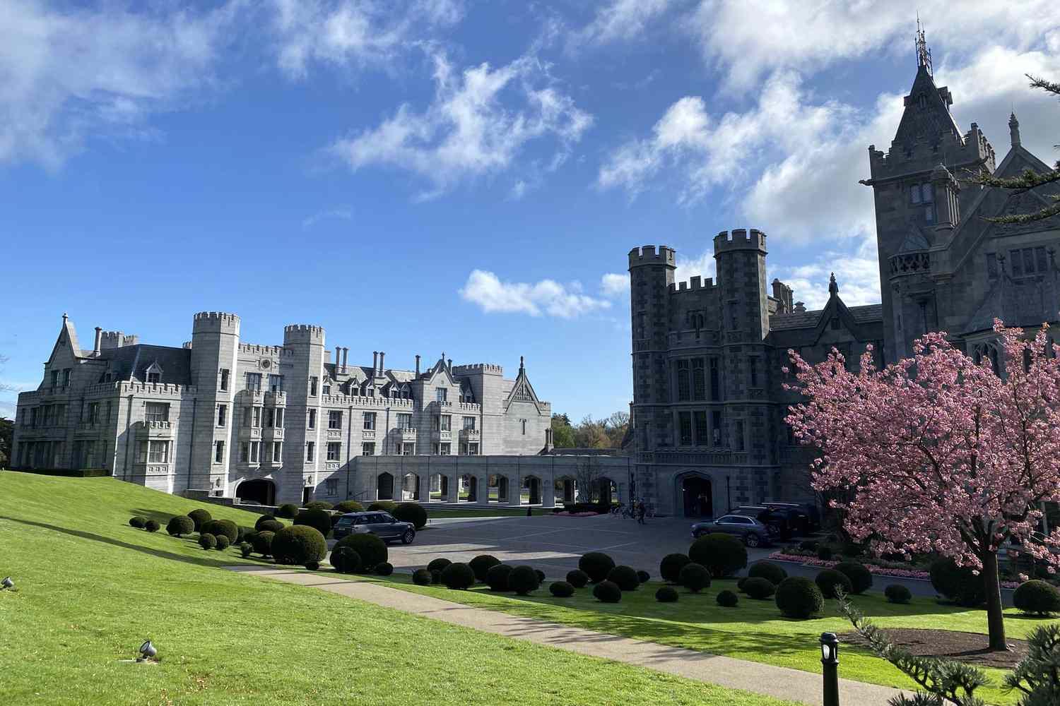 Blossoming tree framing the majestic entrance of Adare Manor.