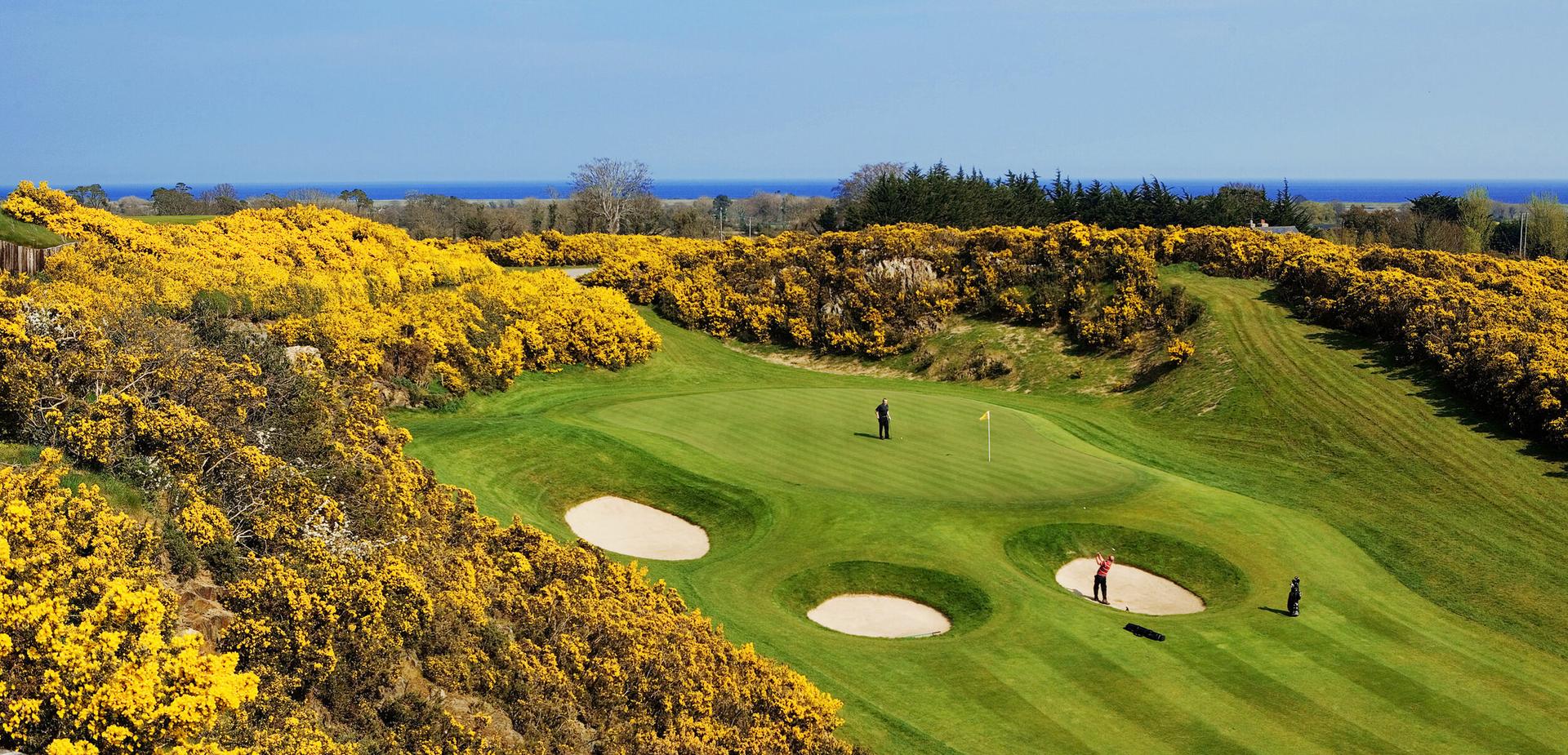 A vibrant golf course with bright yellow bushes and ocean views in the distance.