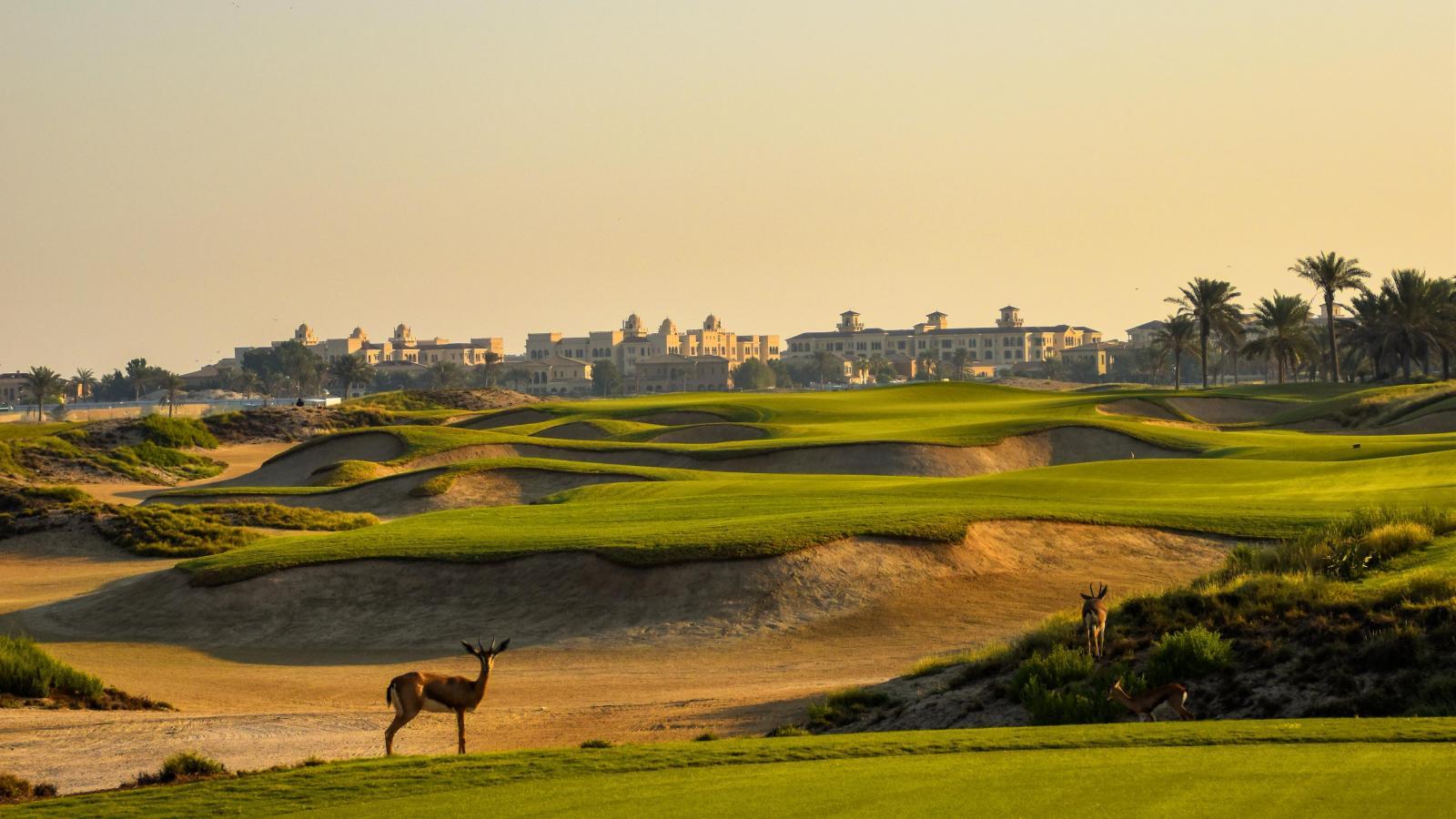 Sand bunkers at Saadiyat Beach