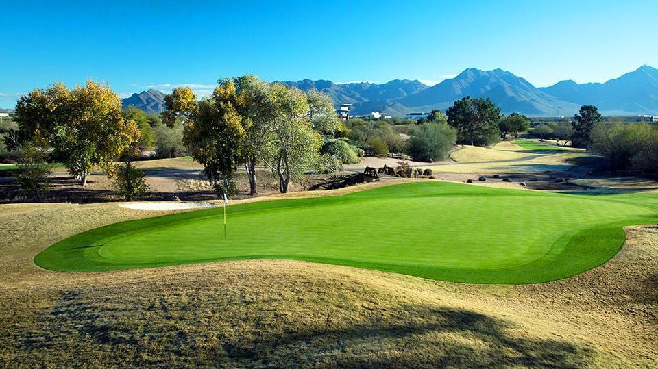 A bright green putting area surrounded by desert trees and mountain views.