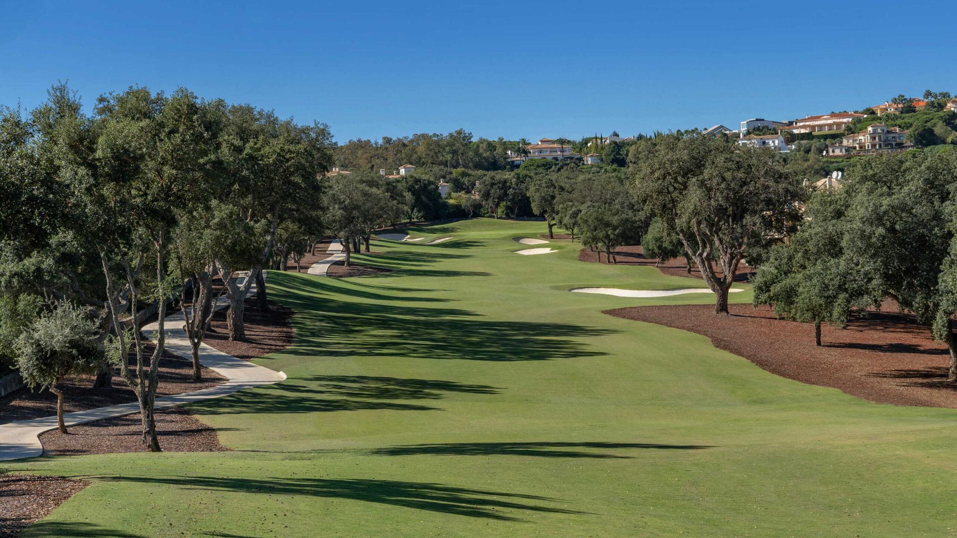 A well maintained fairway riddled with bunkers linked with forest like trees