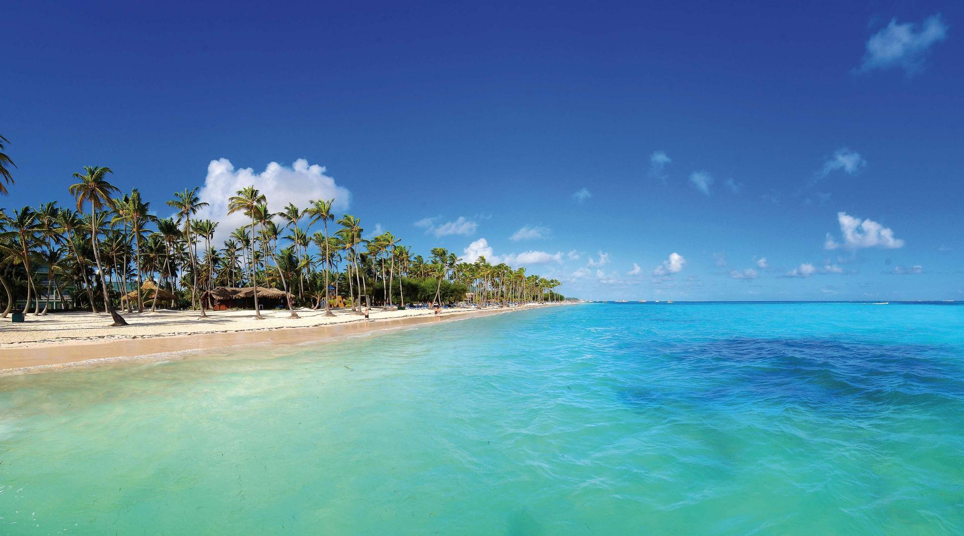 A view of the beach nestled with trees and ocean views