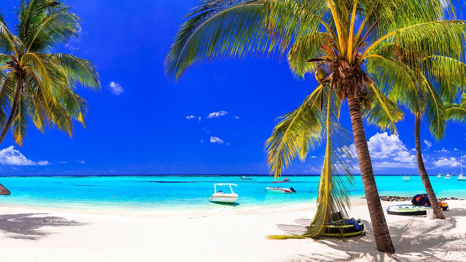 View out to sea from a beautiful Mauritius beach with palm trees on either side