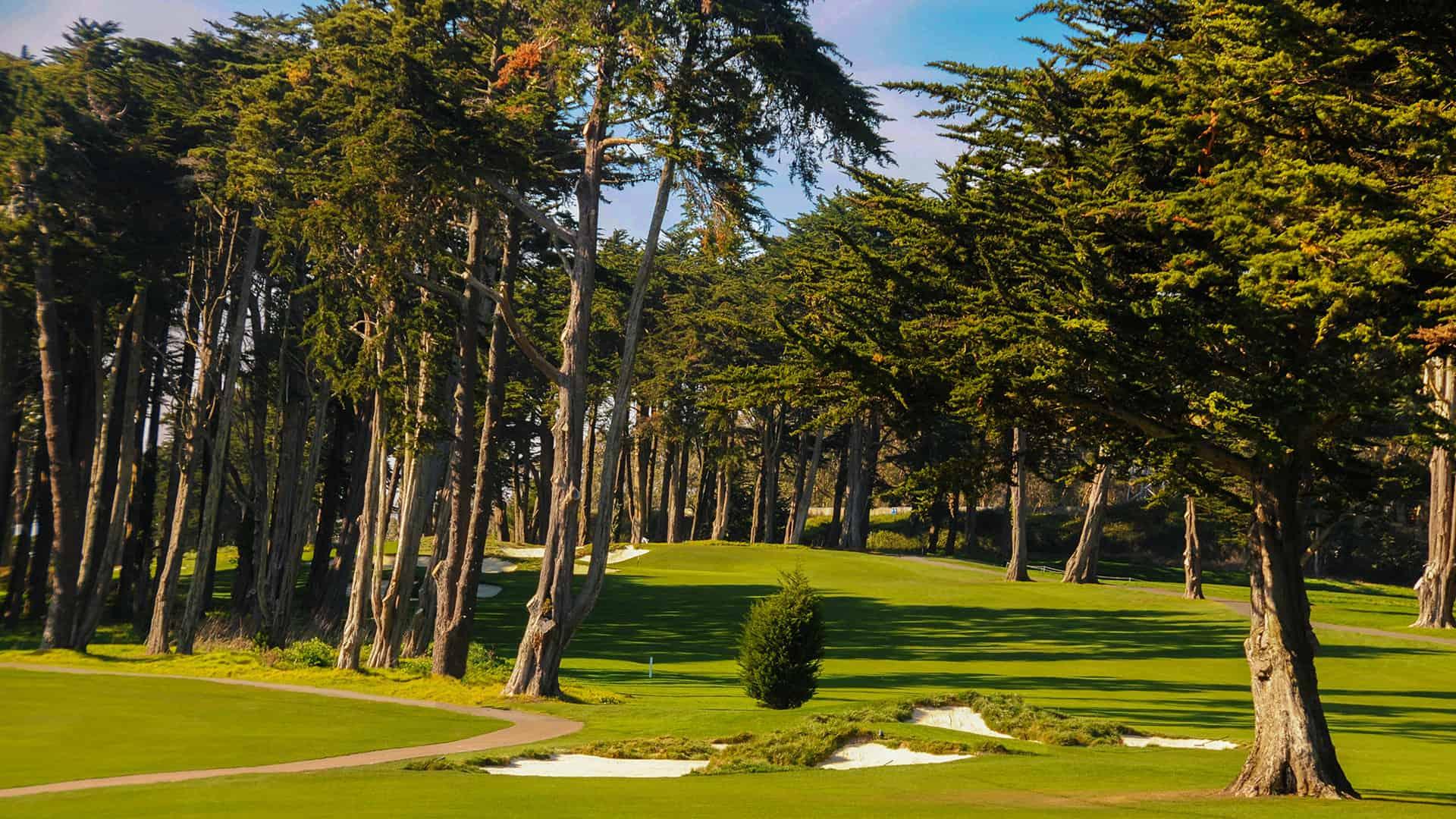 Fairway nestled with sand bunkers with a tall tree line