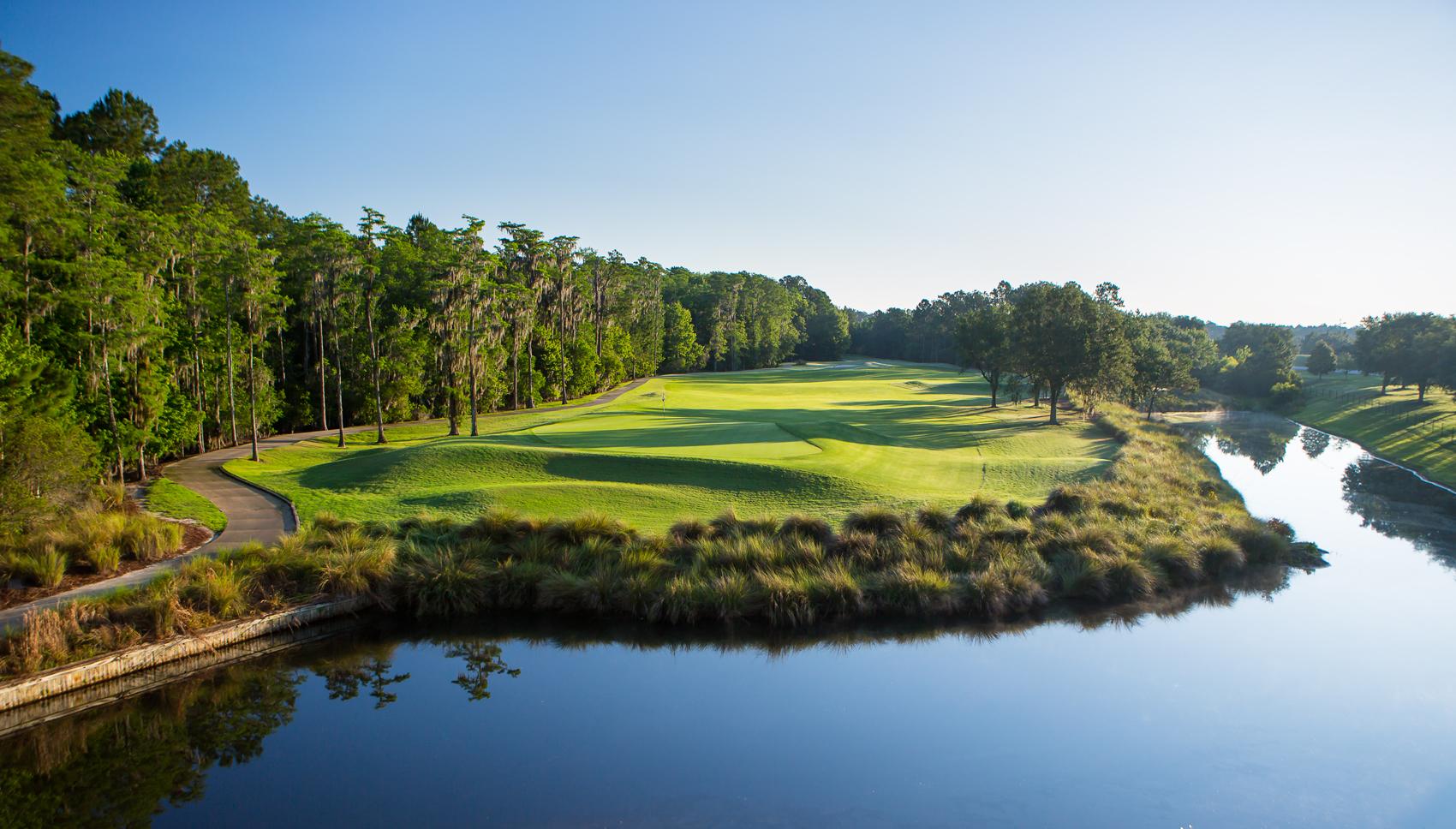 Rough separating the green from a water hazard under mid day sun