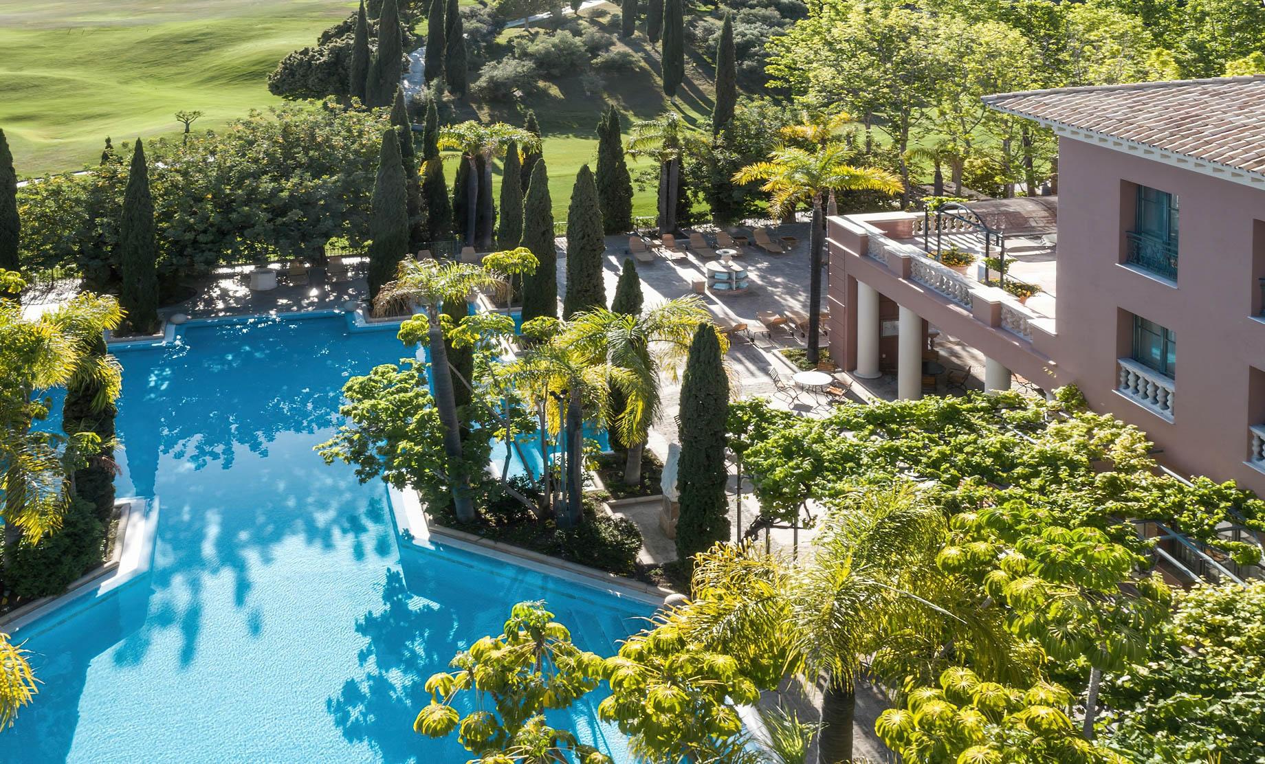 Swimming pool surrounded by trees