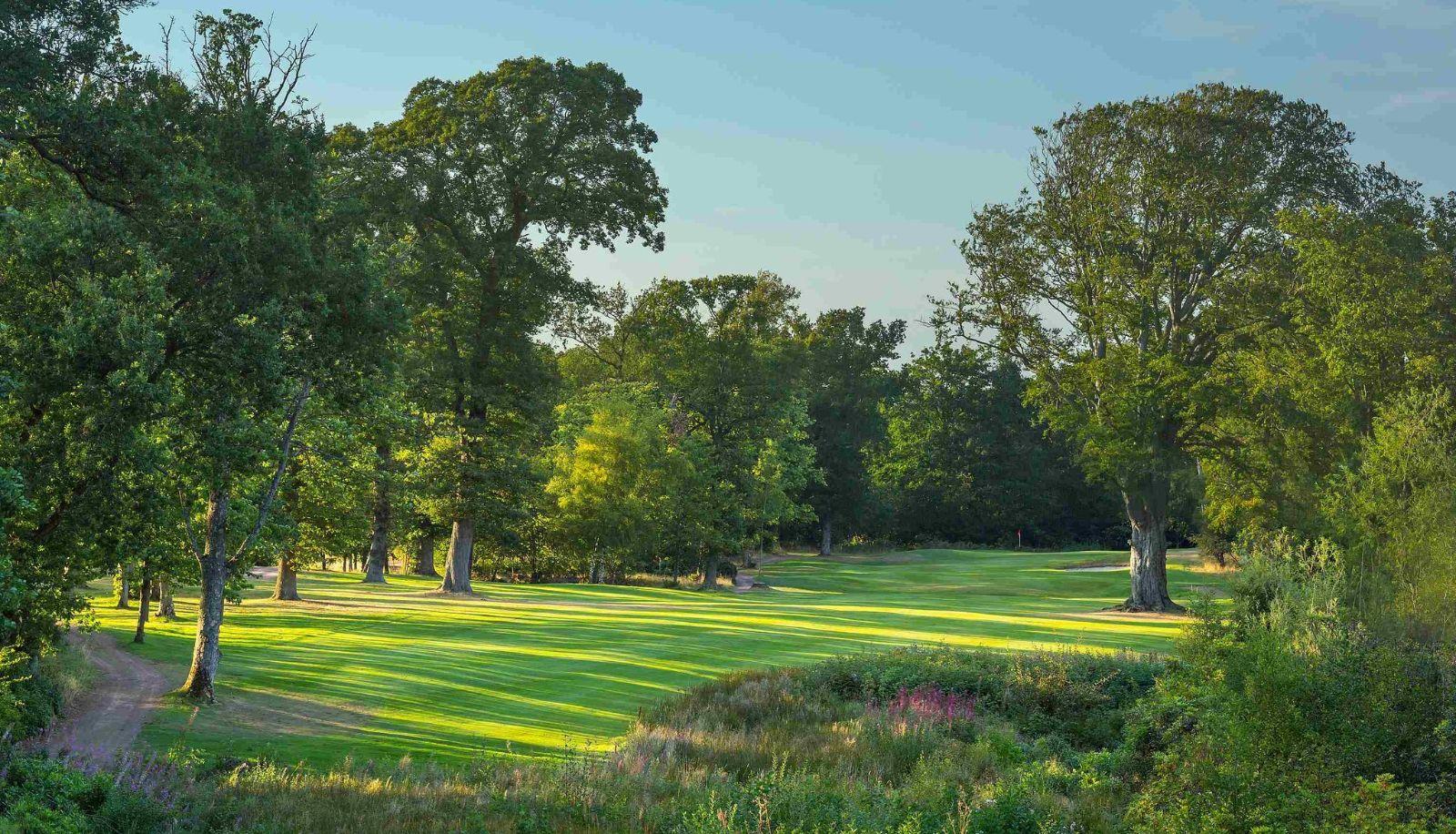 Nestled between the trees a well-maintained fairway which leads to the green of this hole