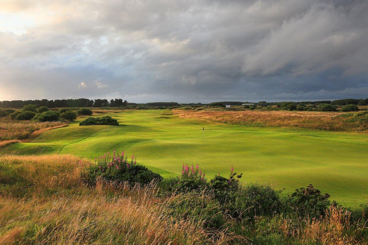 Wild grasses and vibrant flowers frame a windswept green under dramatic skies at Dundonald Links.