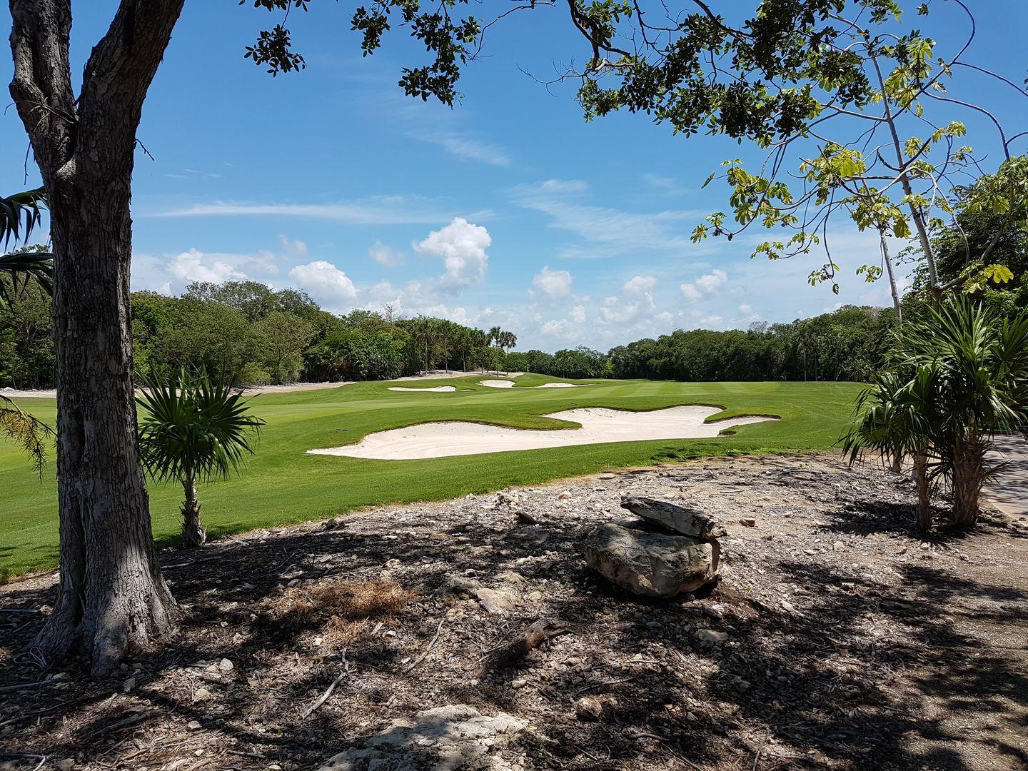 A challenging golf hole framed by lush trees with distinctively shaped sand bunkers on a sunny day.