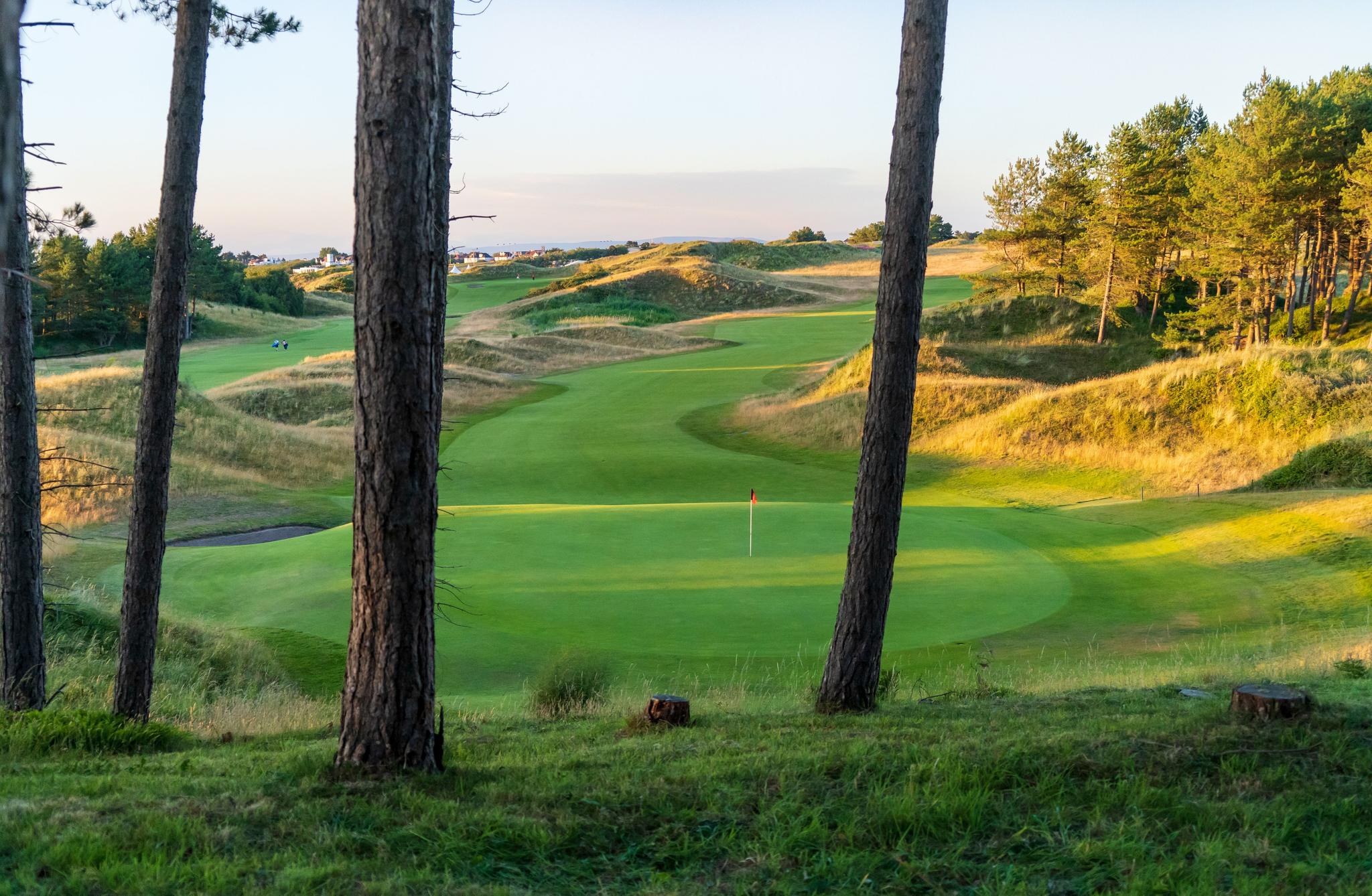 Smooth well-maintained greens leading to winding fairways under the golden sun