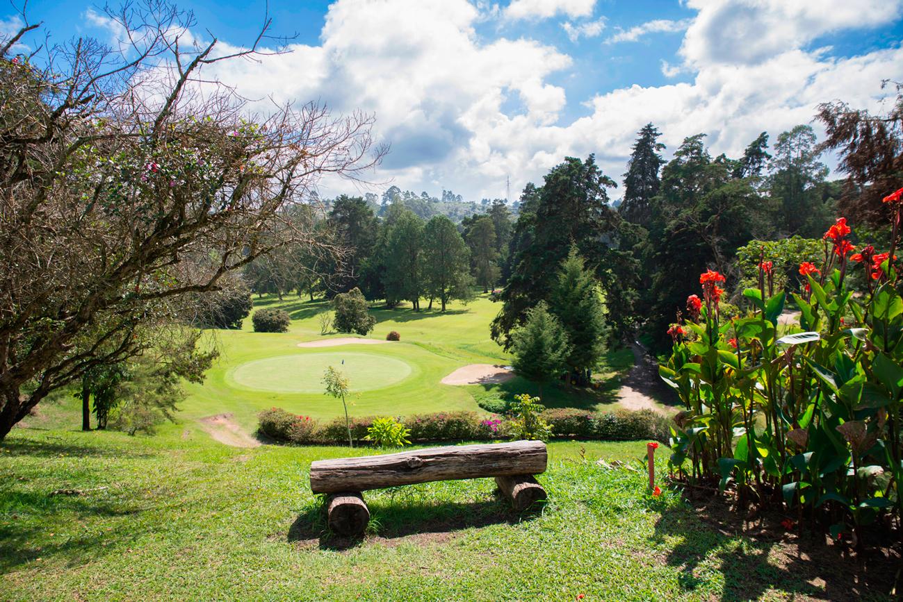 A scenic view of a golf course with a bench and vibrant flowers in the front