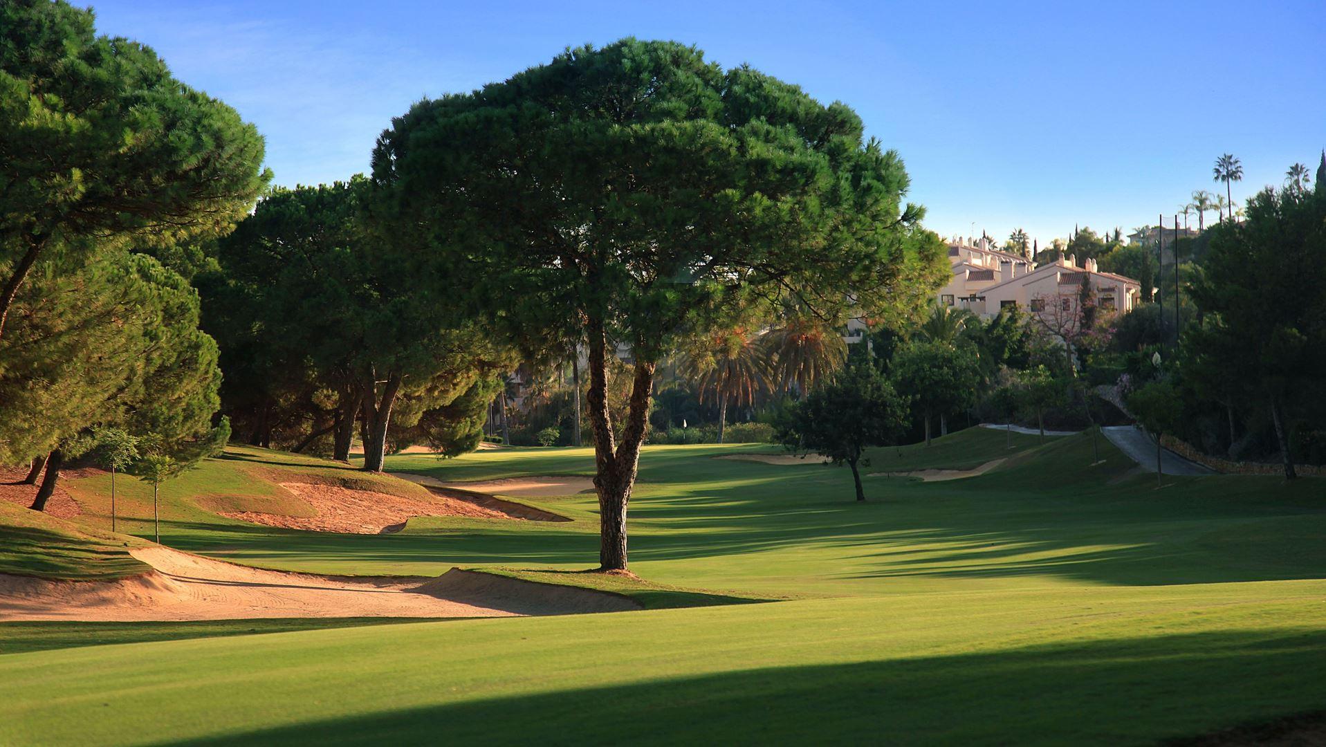 Tree line fairway at La Quinta