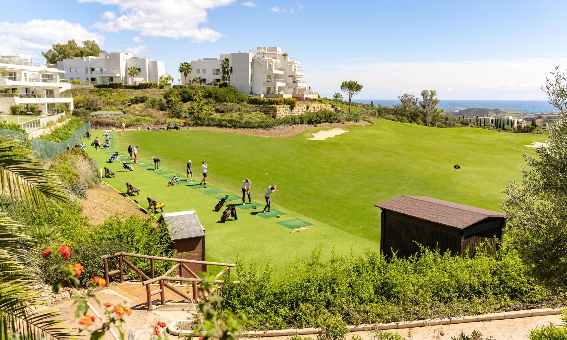 Driving range with many golfers practicing