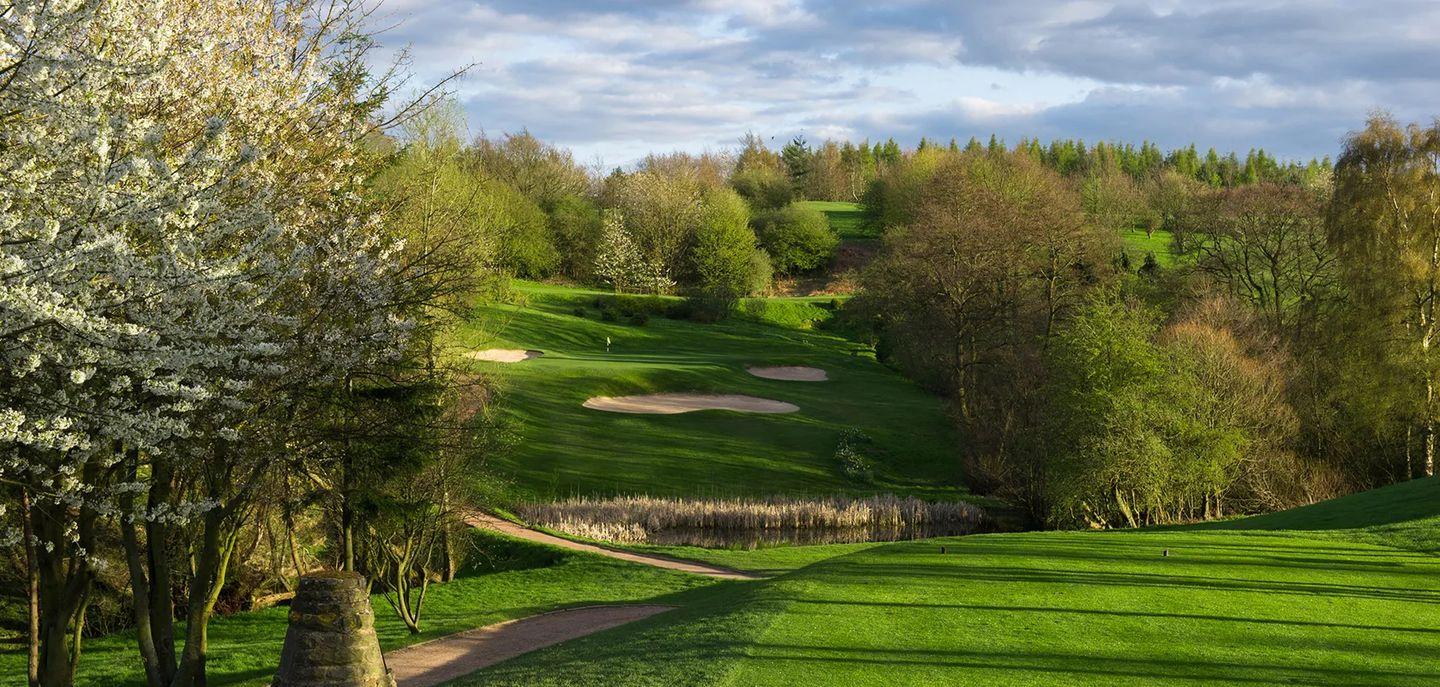 A golf hole with sand bunkers, set amid rolling terrain and dense trees.