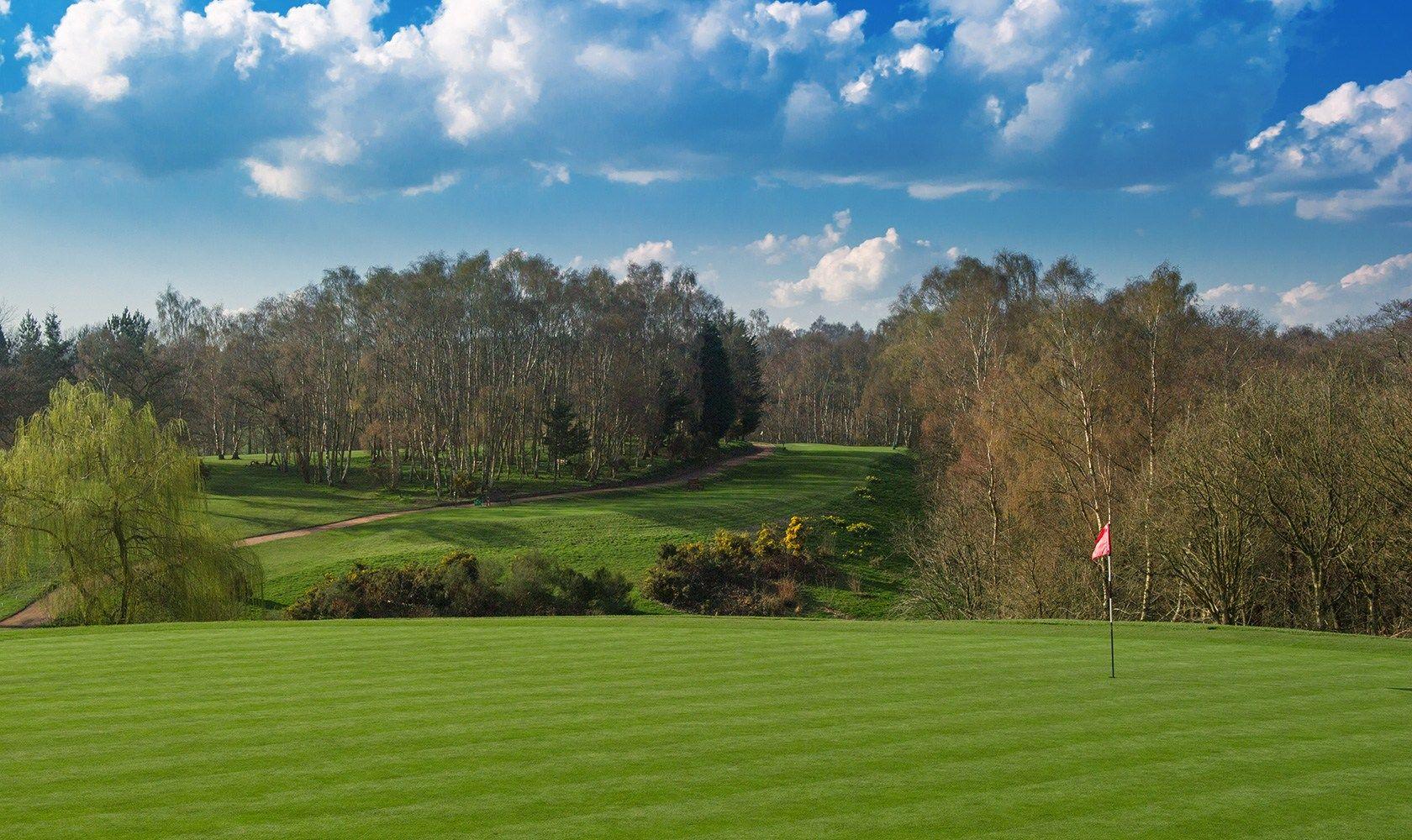 A lush golf green with a red flag, surrounded by trees and a winding dirt path.