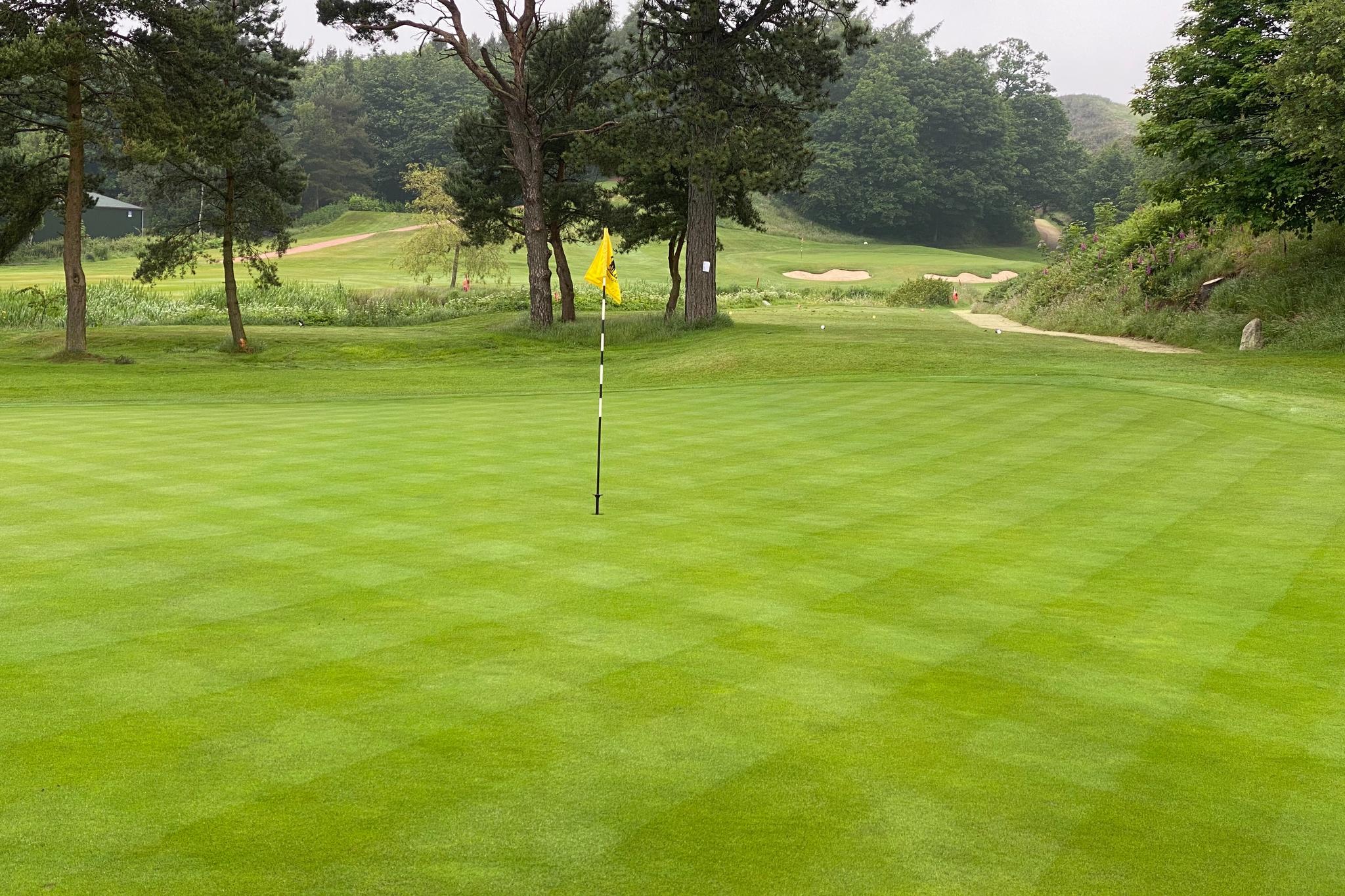 A smooth, well-kept green with a yellow flagstick surrounded by trees and bunkers.