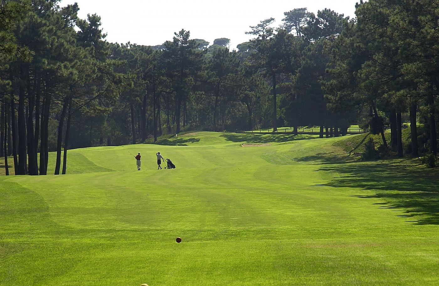 View from a tee box showing an undulating, winding fairway leading to the green