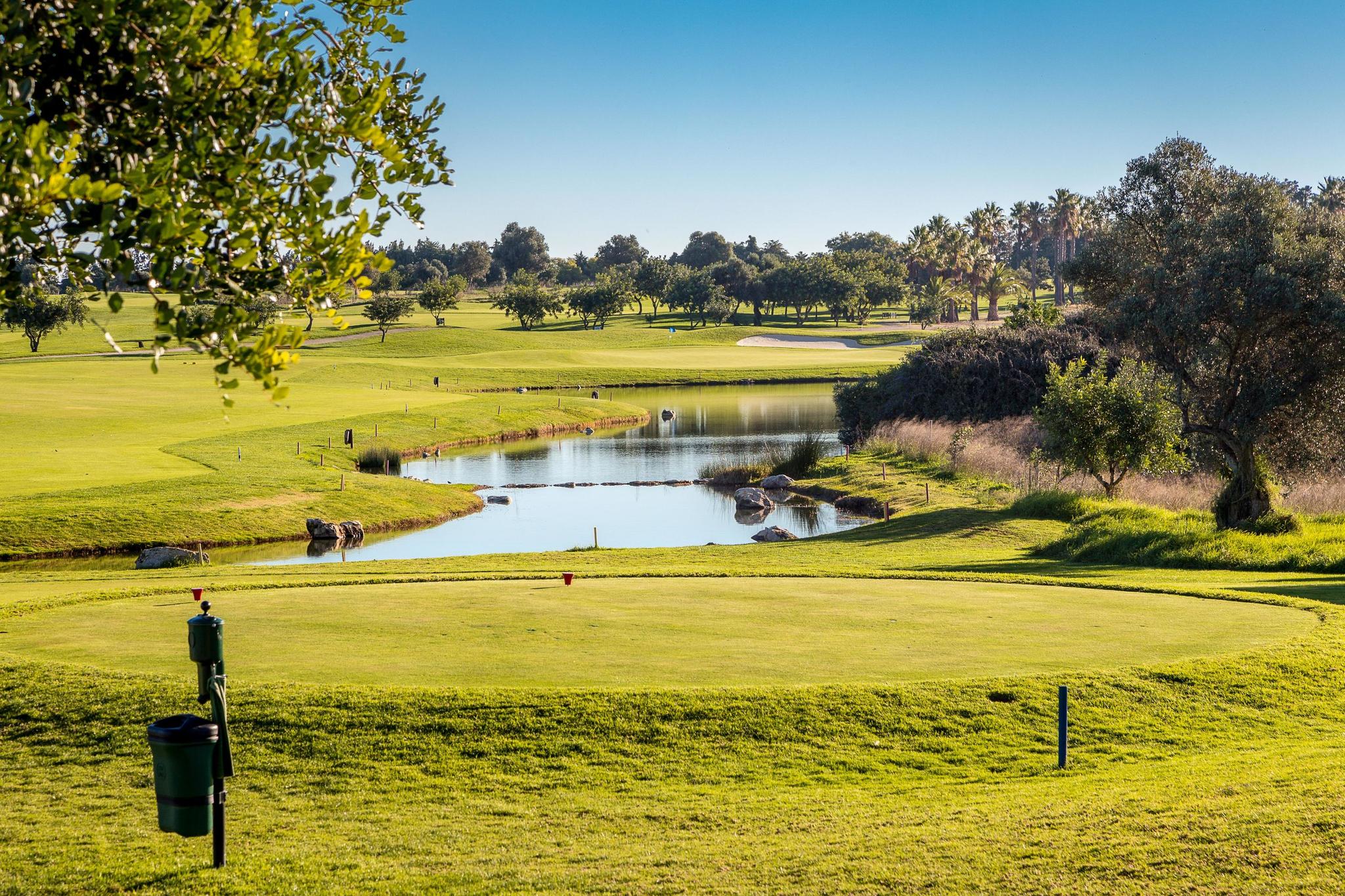 Tee shot over water to a winding fairway