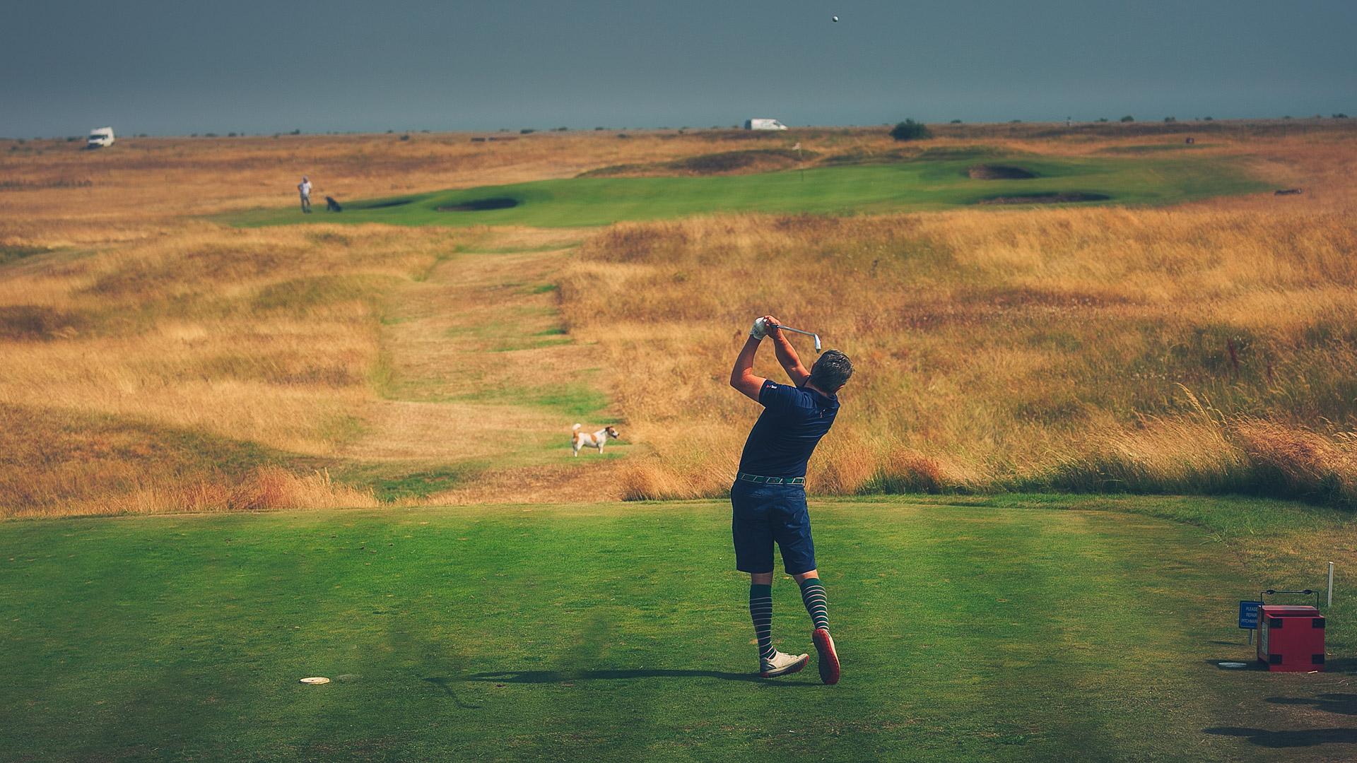Golfer teeing off over a yellow rough at the dog friendly Royal St. George's Golf Course