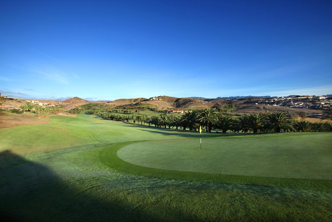 Pristine green