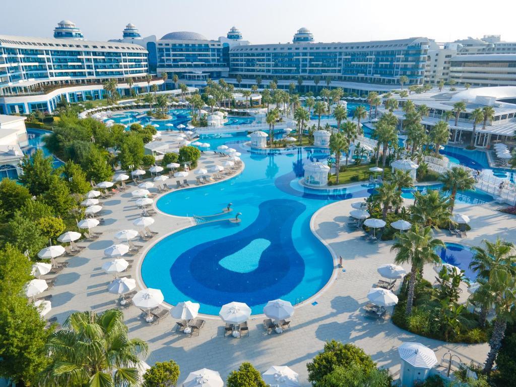 Outdoor swimming pool area interspersed with palm trees