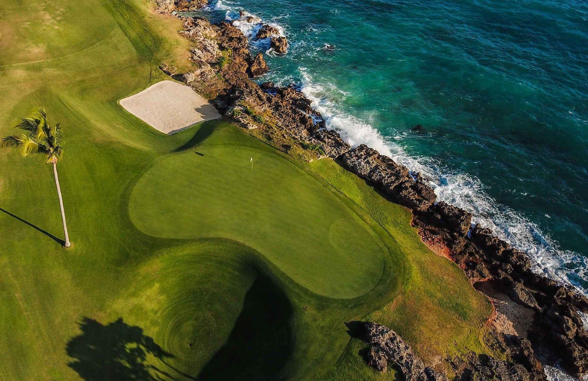 Aerial view of a manicured green sandwiched between a palm treat and a rocky coast