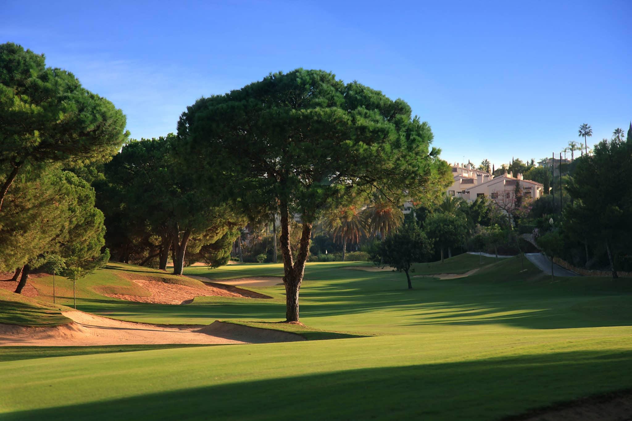 Pristine fairways lined with trees