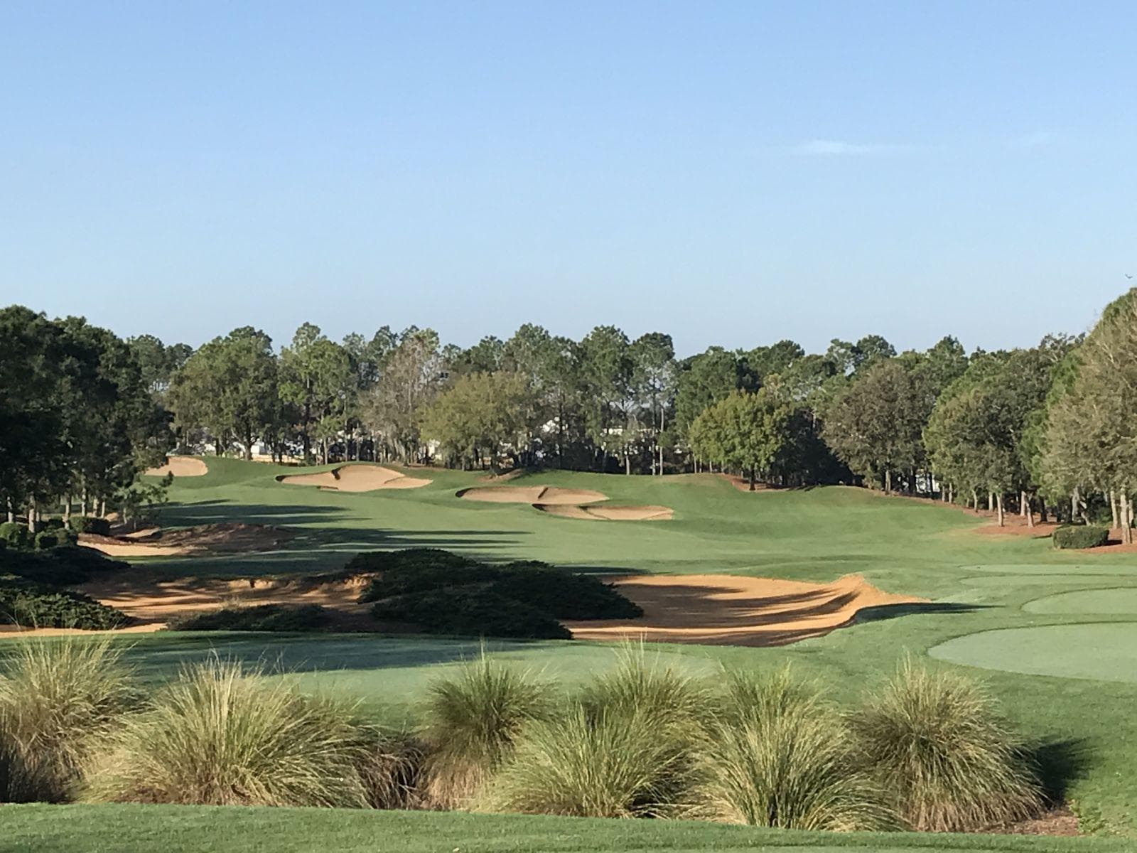 A winding fairway nestled with sand bunkers under clear blue skies