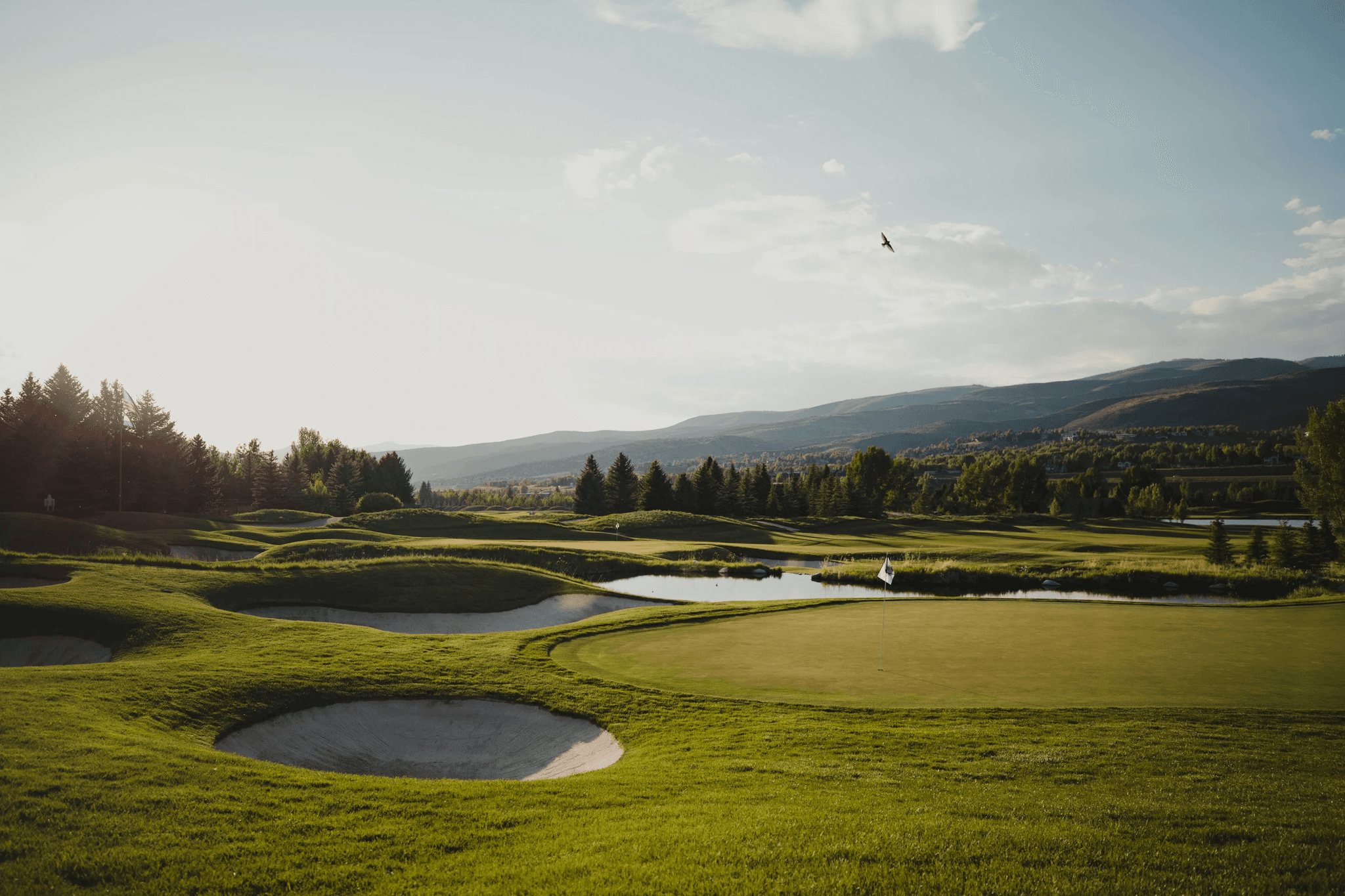 A well maintained green surrounded by sand bunker next to a water hazard
