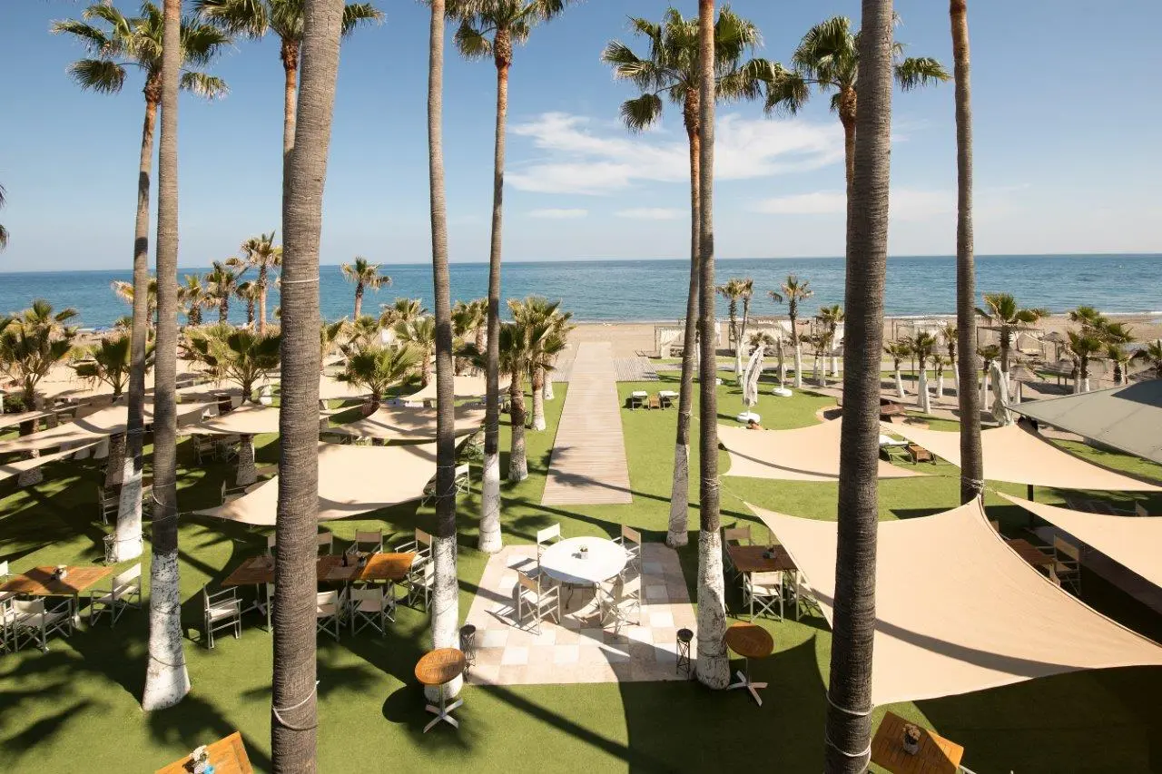 Outdoor dining / bar area with palm trees next to the beach
