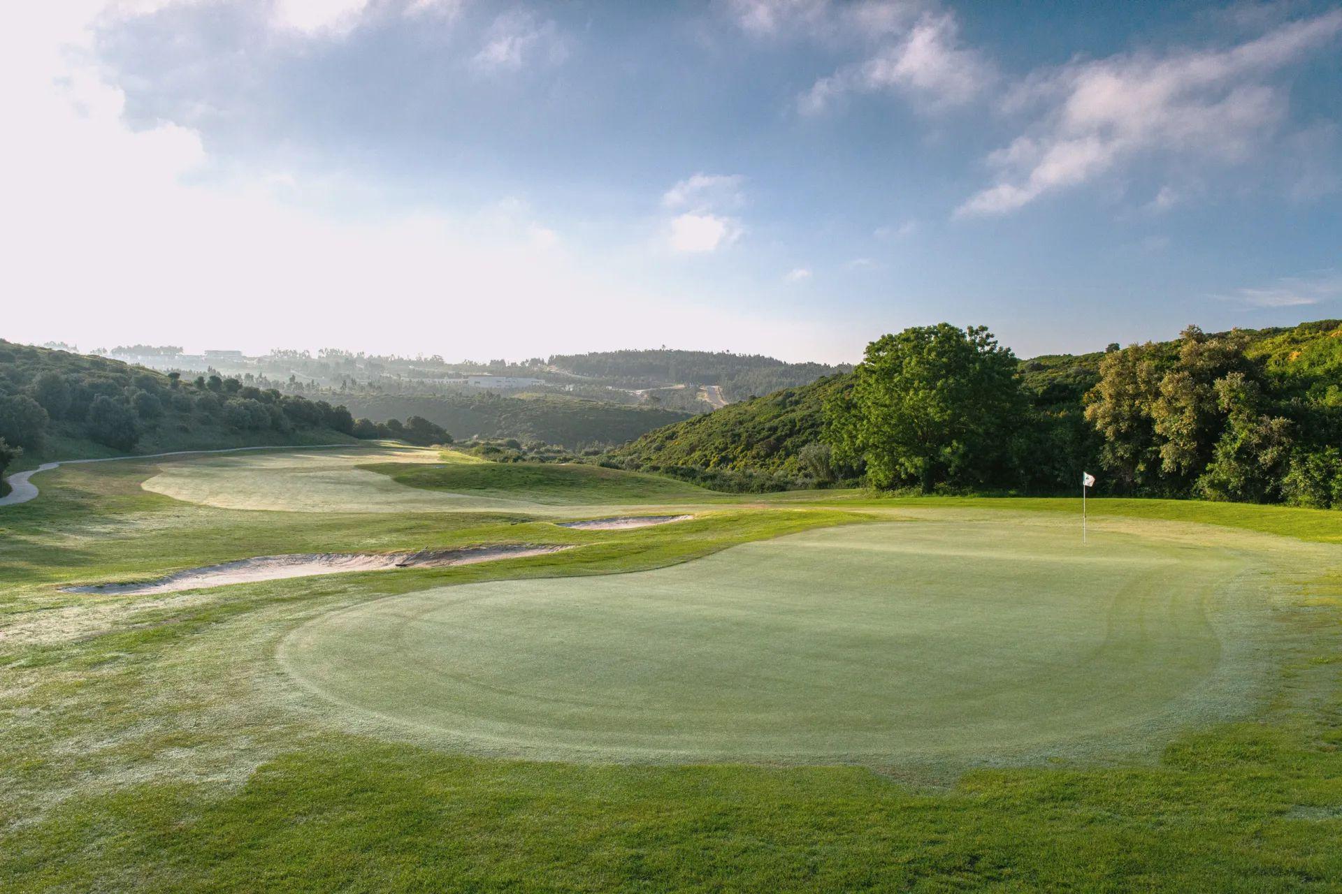 Narrow, tree-lined fairway leading to an undulating green
