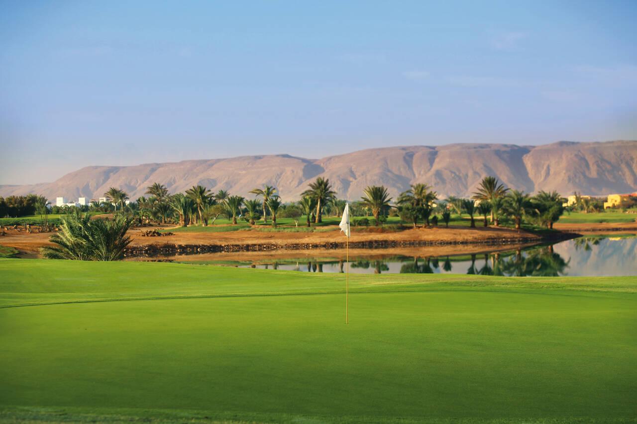 A golf green framed by palm trees and desert mountains in the background.