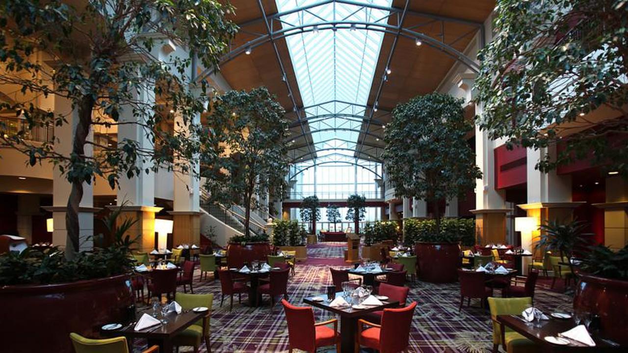 Elegant dining area with natural light, tall indoor trees, and stylish seating.
