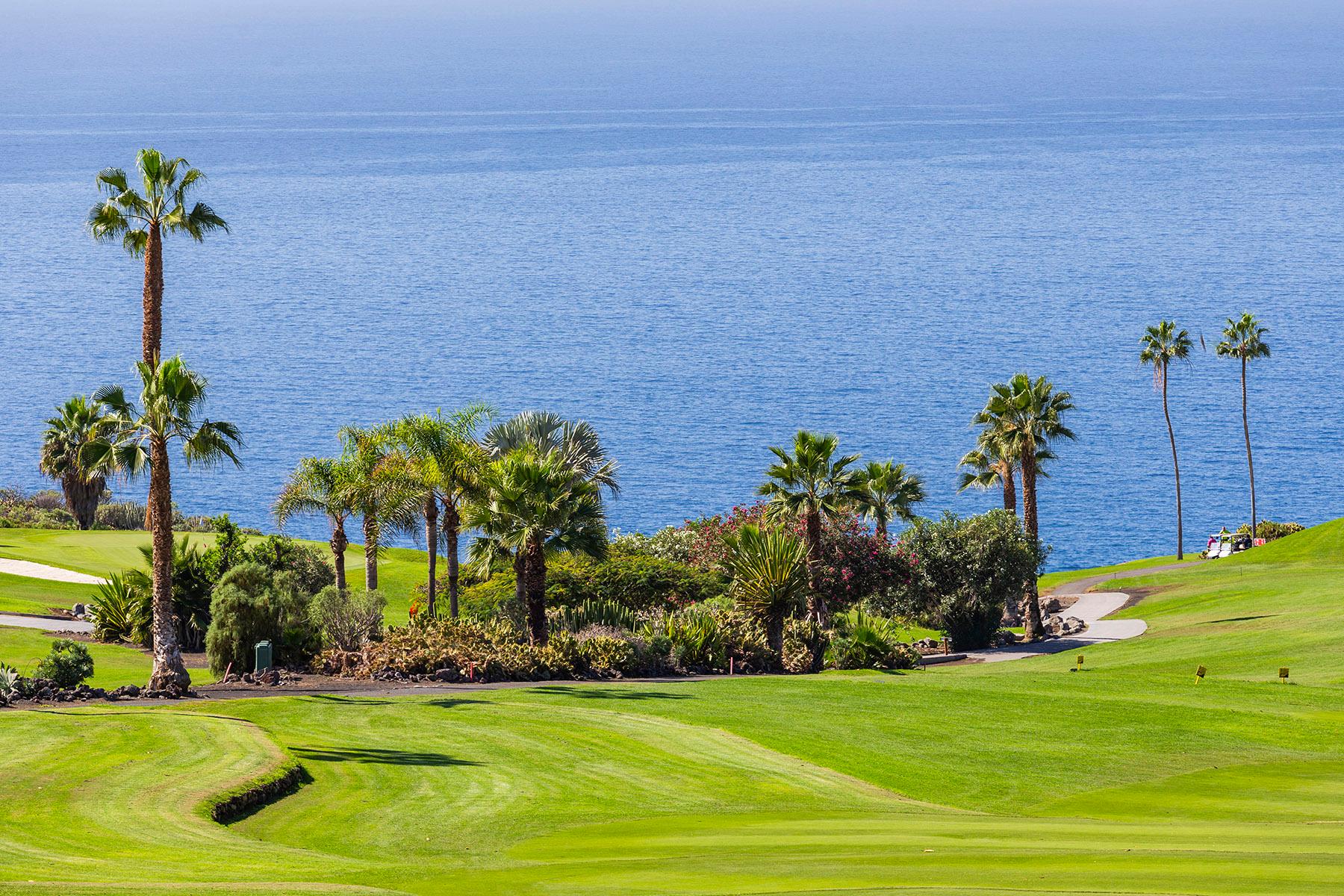 Winding fairway with palm trees along the ocean