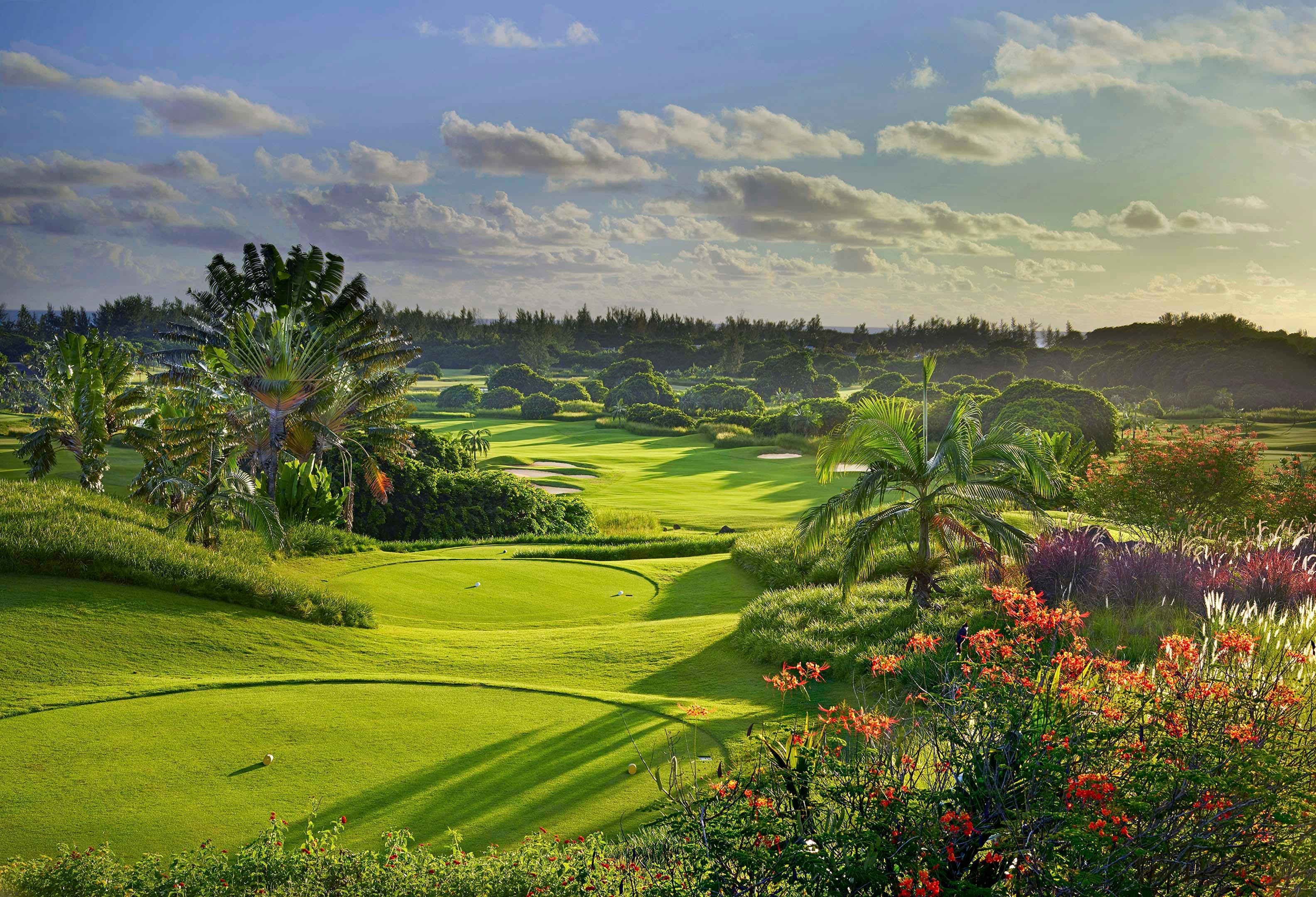 Tee box surrounded by jungle like nature leading to a well maintained fairway