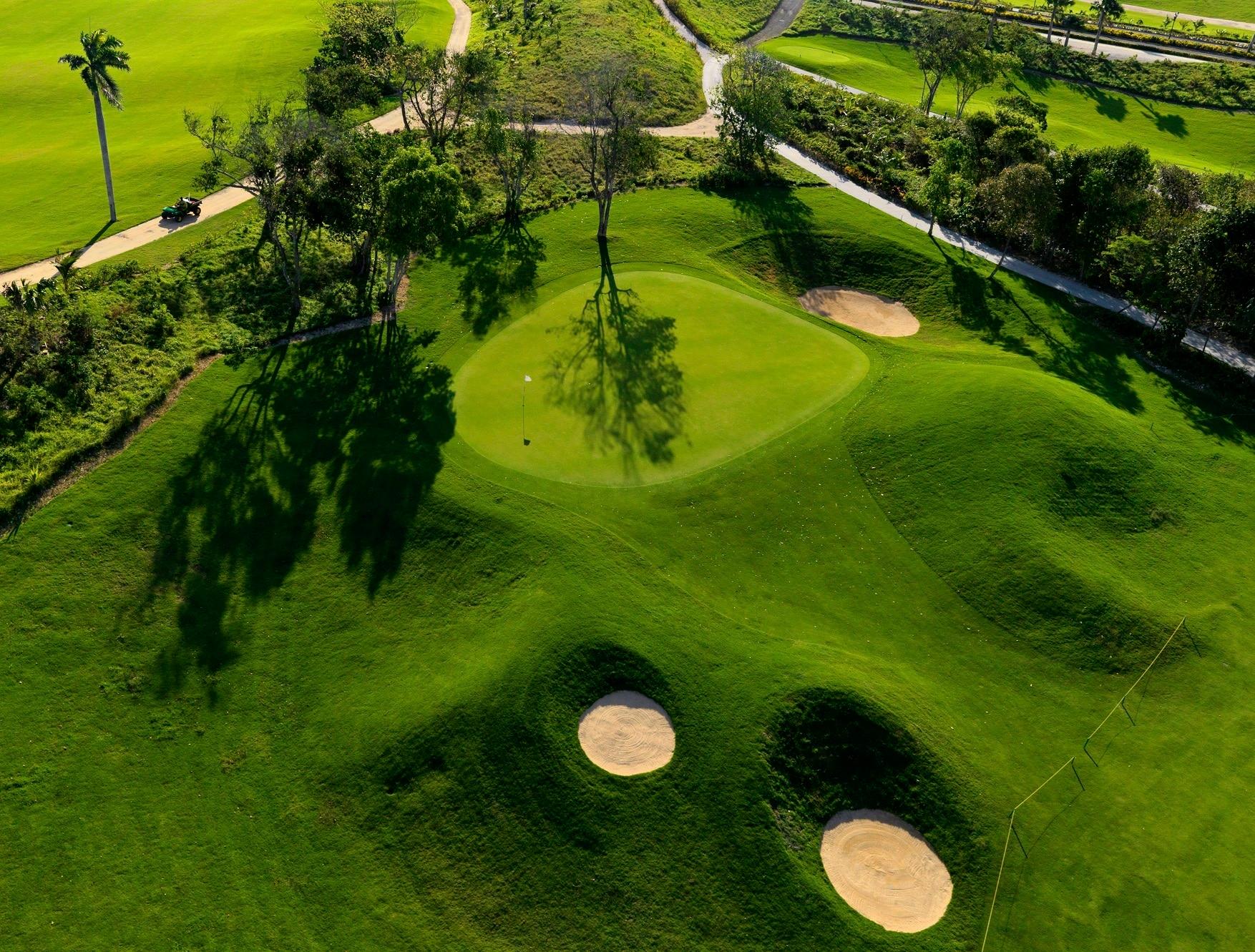 Elevated green surrounded by trees and sand bunkers