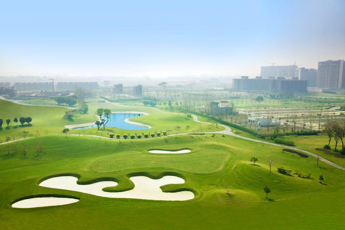 An elevated smooth green surrounded by large sand bunkers with city views