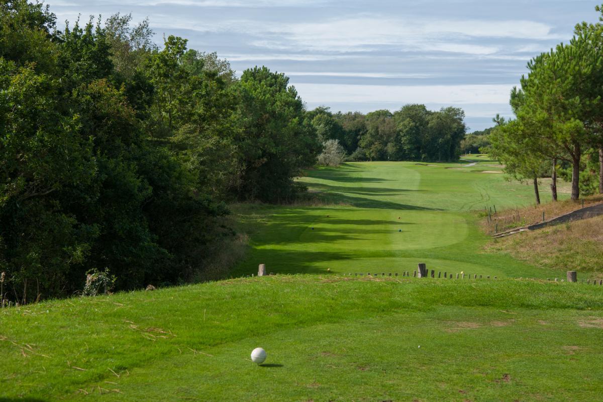 Elevated tee shot with trees on the left of the fairway