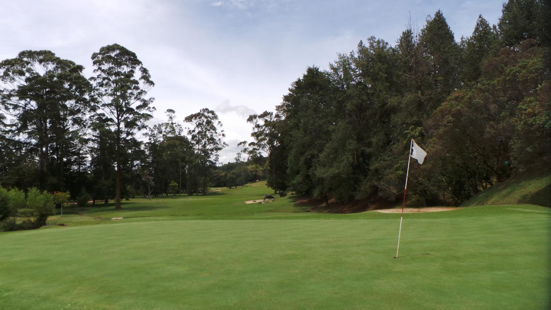 A peaceful golf green surrounded by tall trees under a cloudy sky