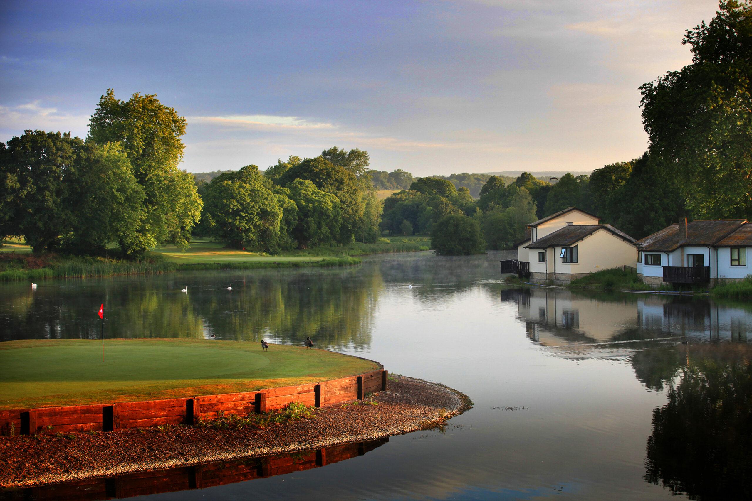 A peaceful lakeside scene with swans and a small dock surrounded by greens.