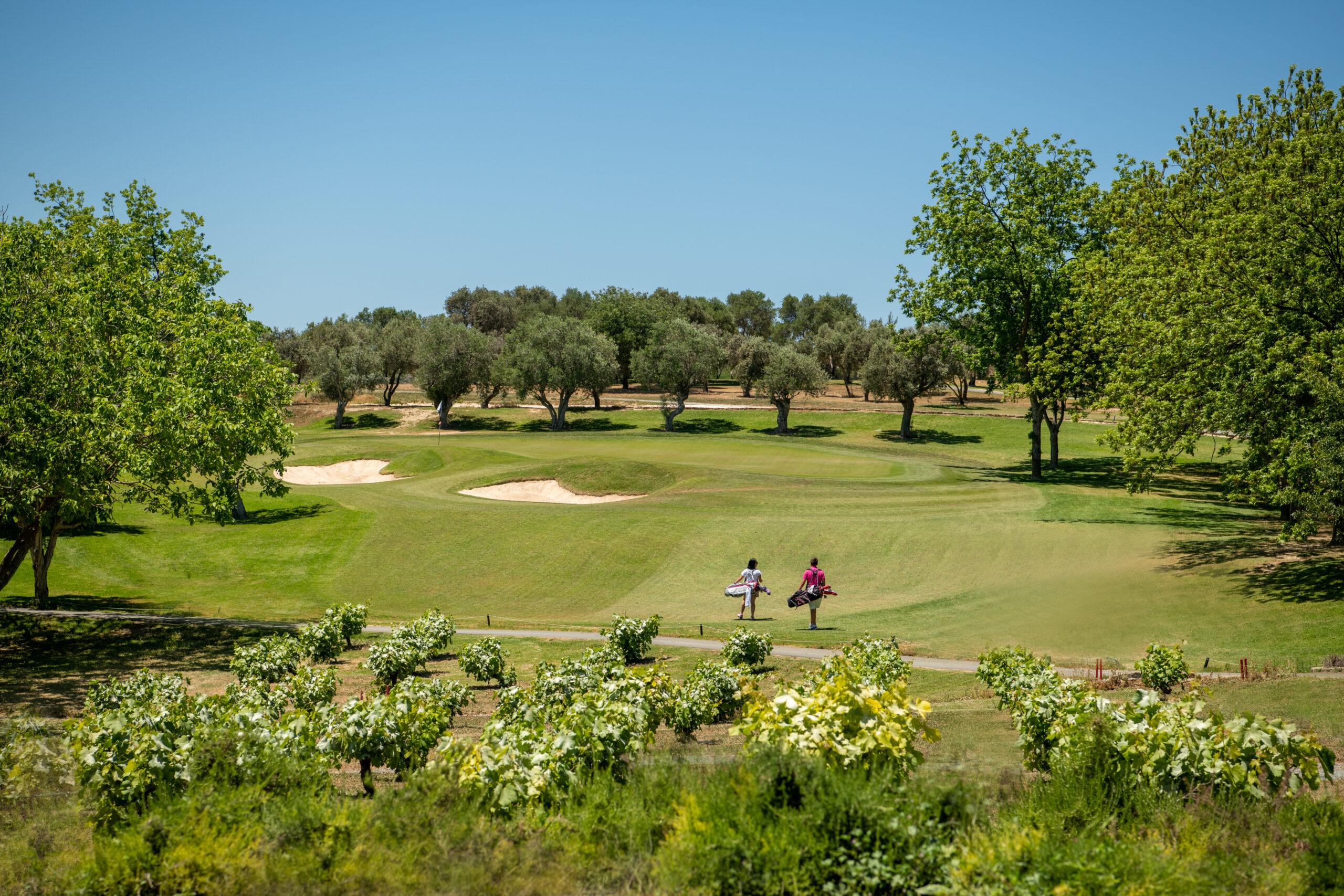 Golfers walking along the fairway, surrounded by olive groves and manicured greens.