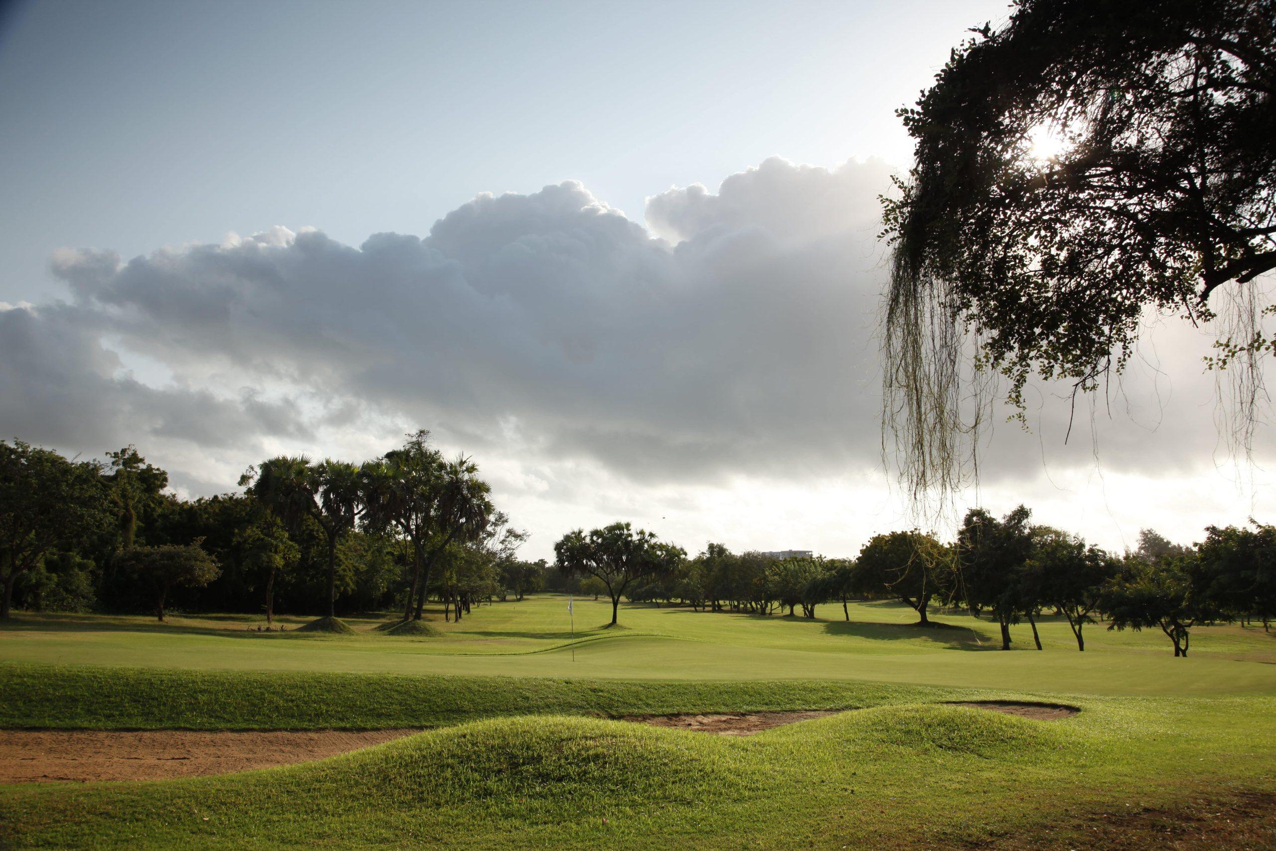 A peaceful golf fairway surrounded by trees at sunrise.
