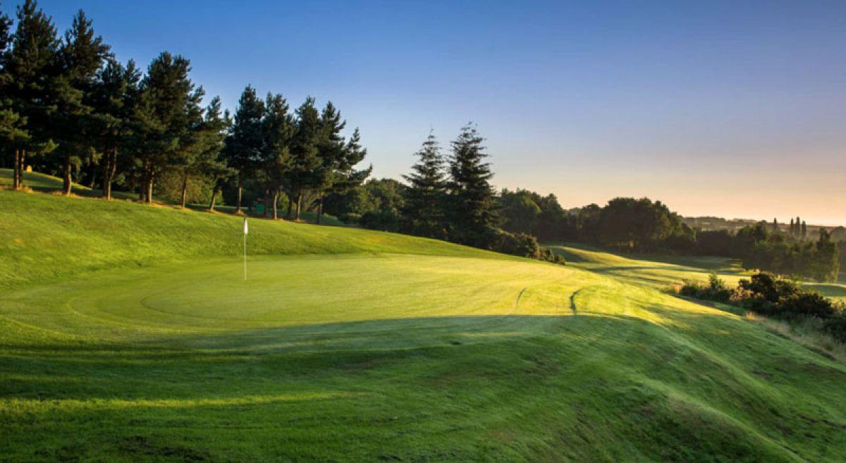 A sunlit golf green bordered by tall pine trees during golden hour.