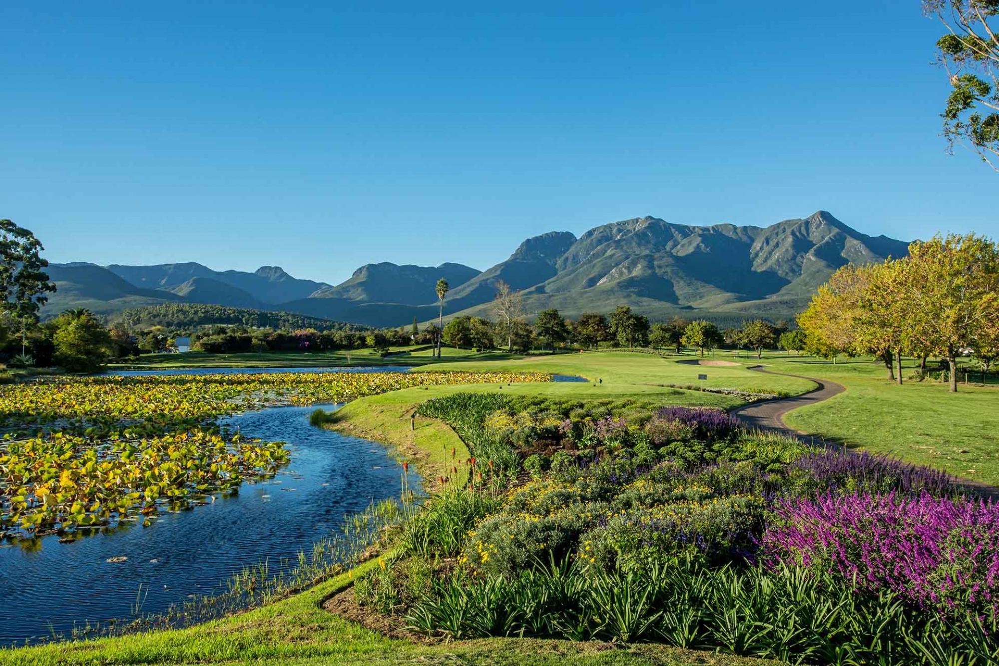A large mountain towering over the Outeniqua Course