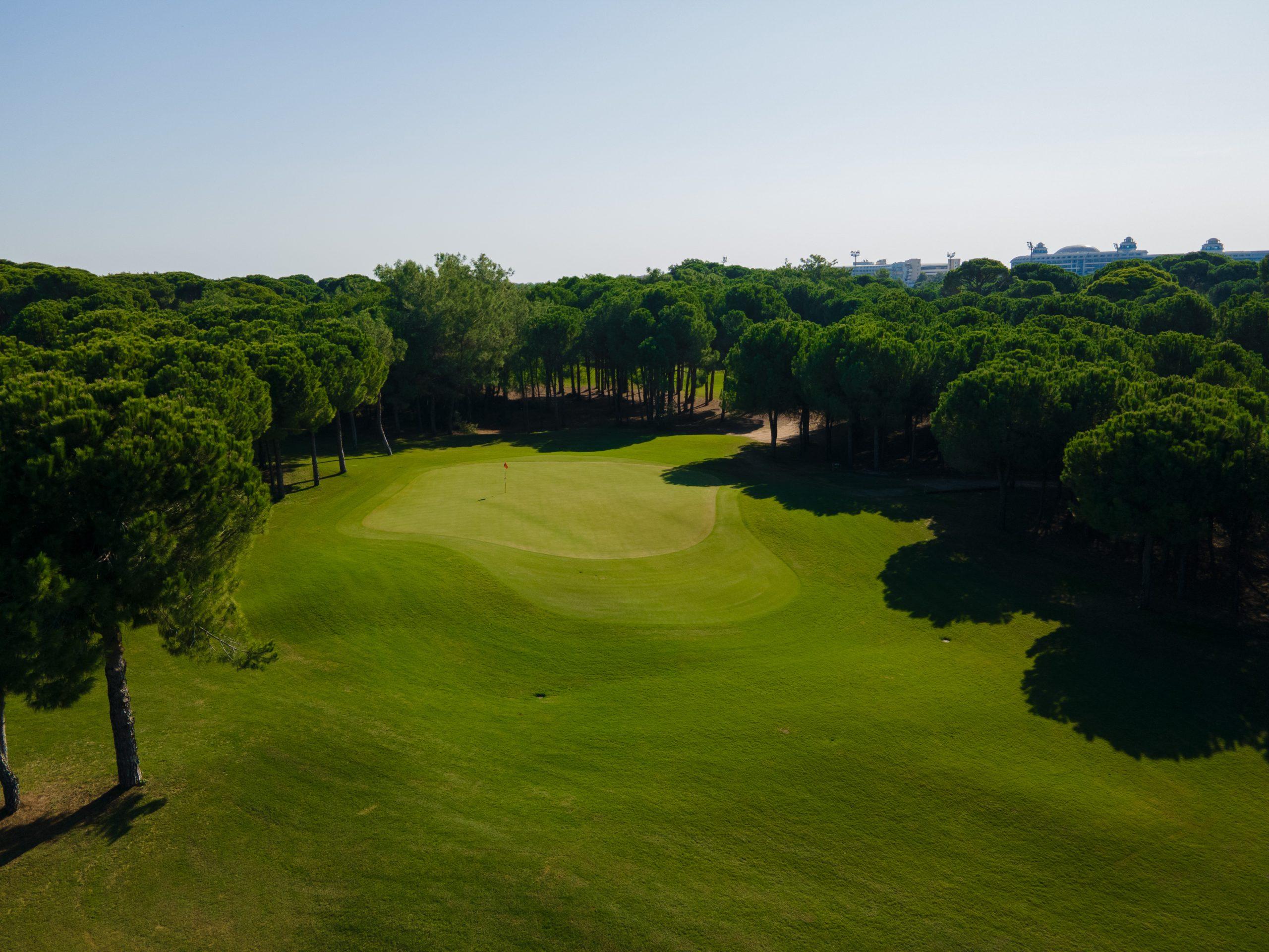 Green surrounded by trees