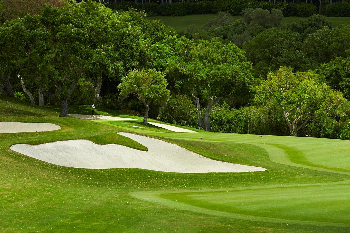 Winding fairway leading up to green surrounded by bunkers
