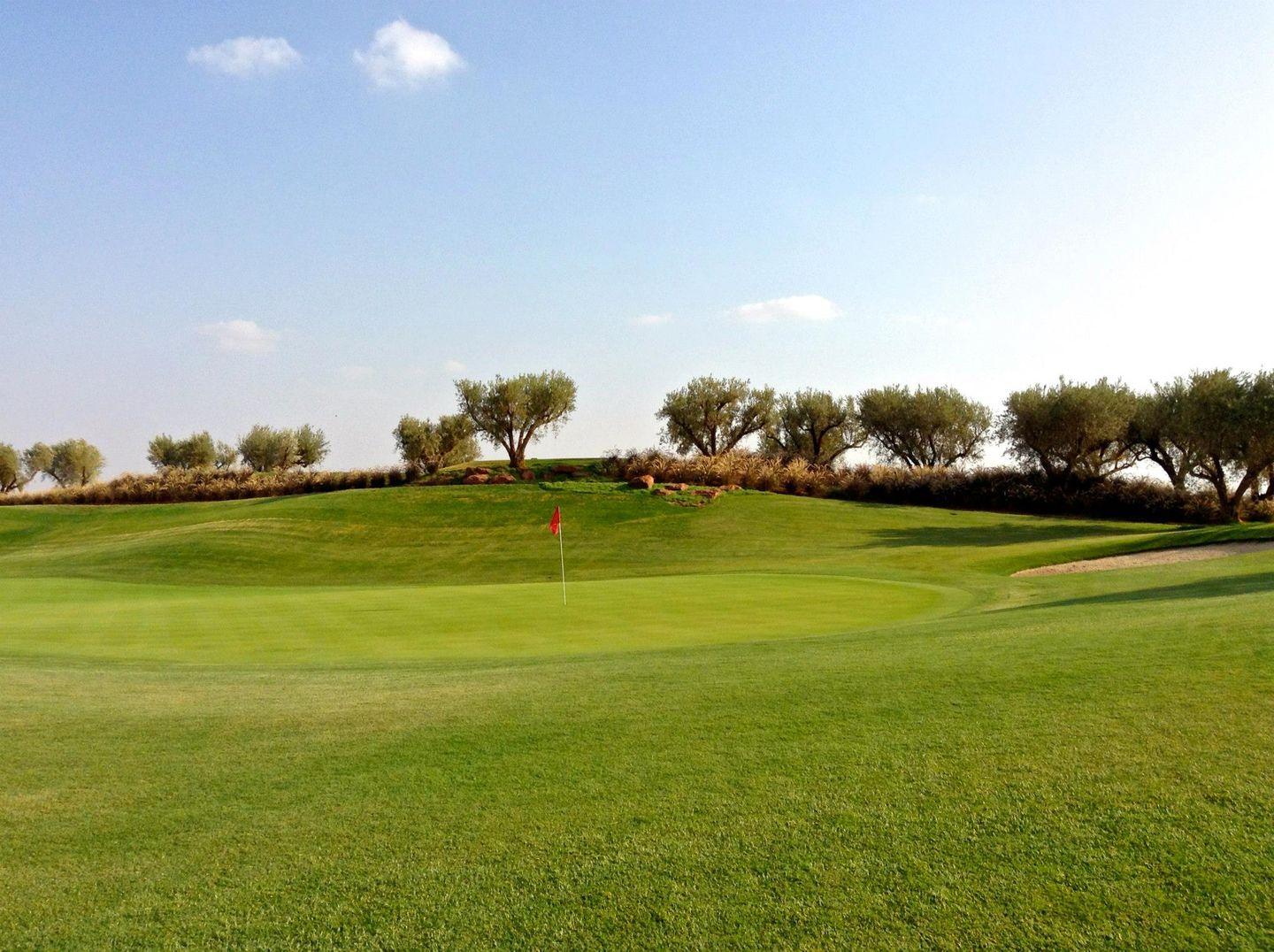A well maintained green nestled with a sand bunker at the Royal Palm Golf Course