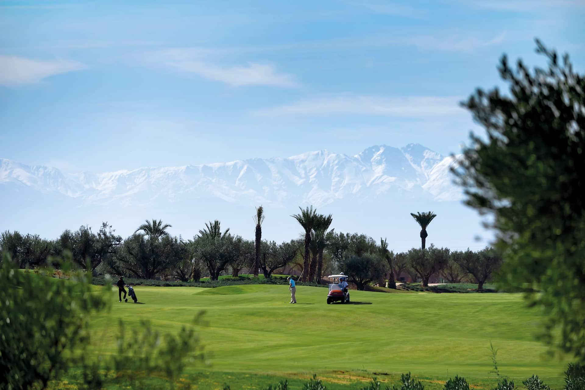 Golfers enjoying their round on rolling dunes framed by palm trees with ice topped mountains in the distance