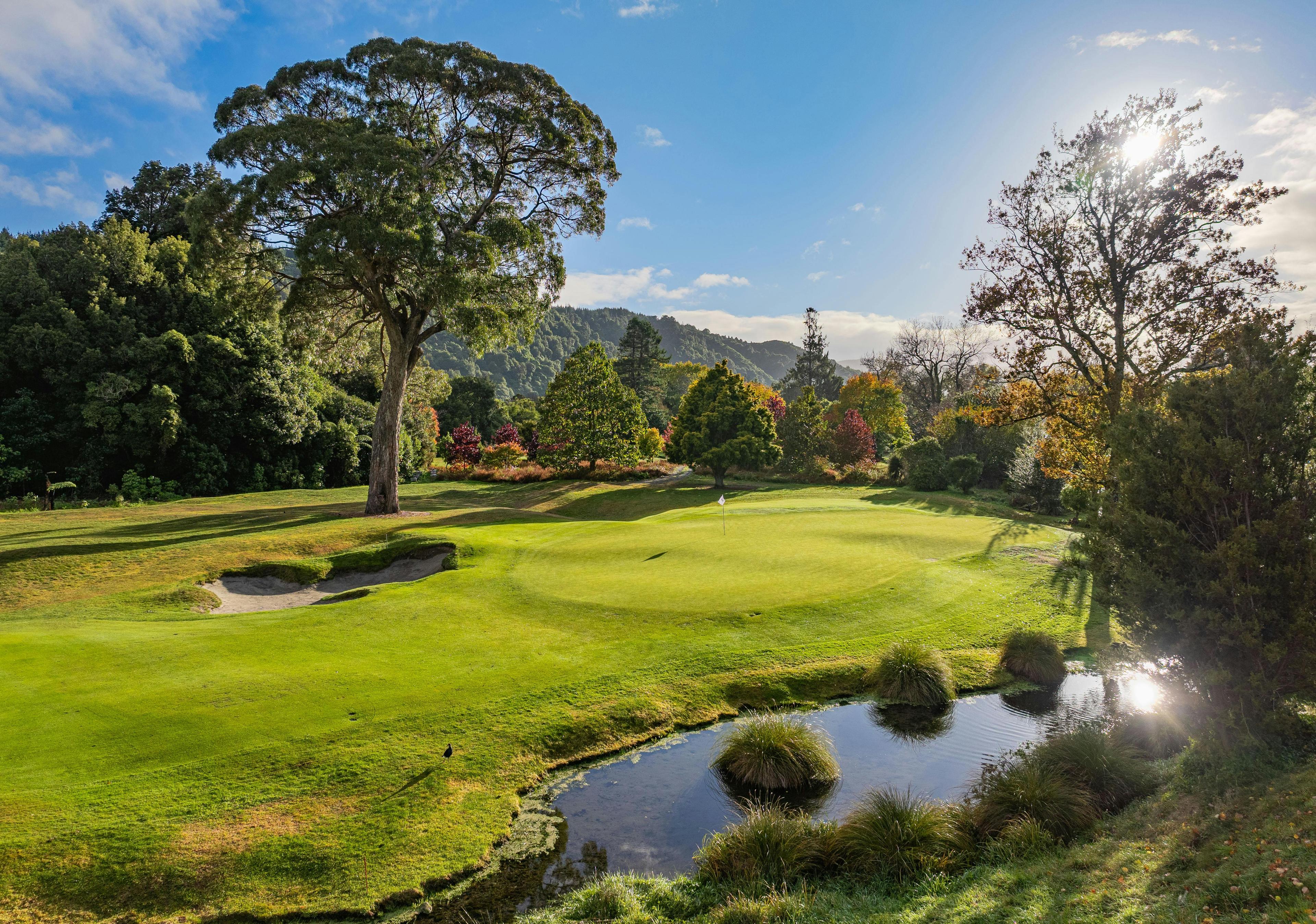 A smooth green surrounded by vibrant nature under the golden sun