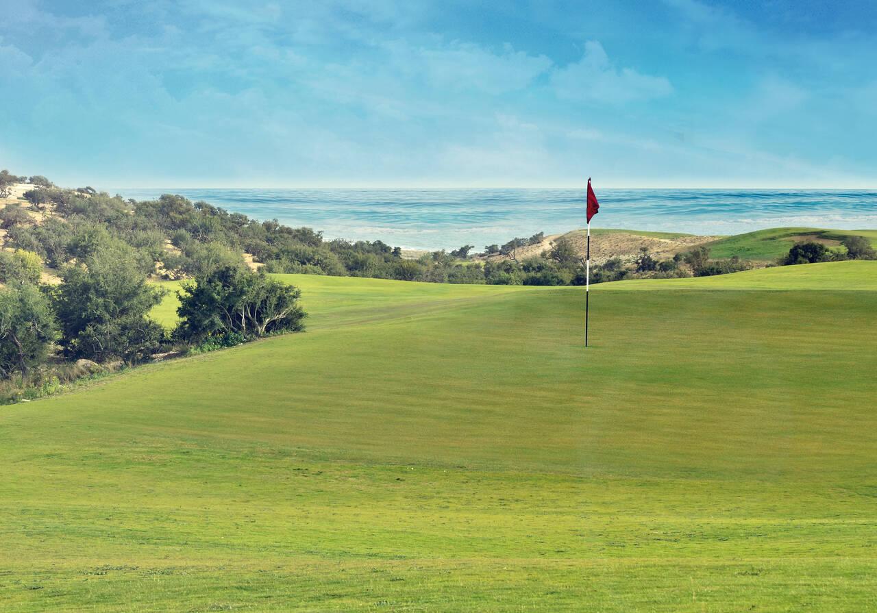 A golf green with a flagstick framed by dunes and ocean waves.